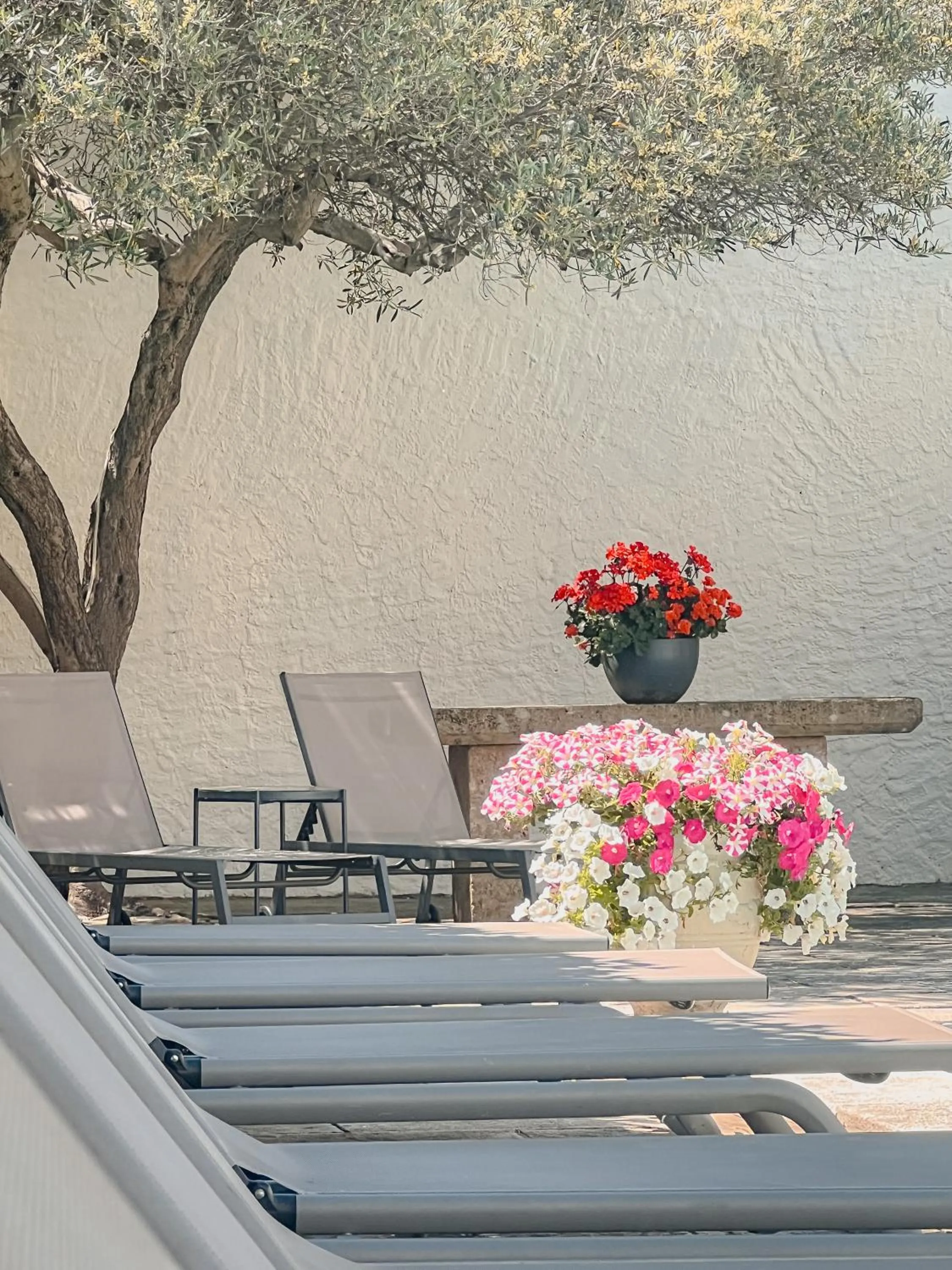 Hôtel Les Magnanarelles