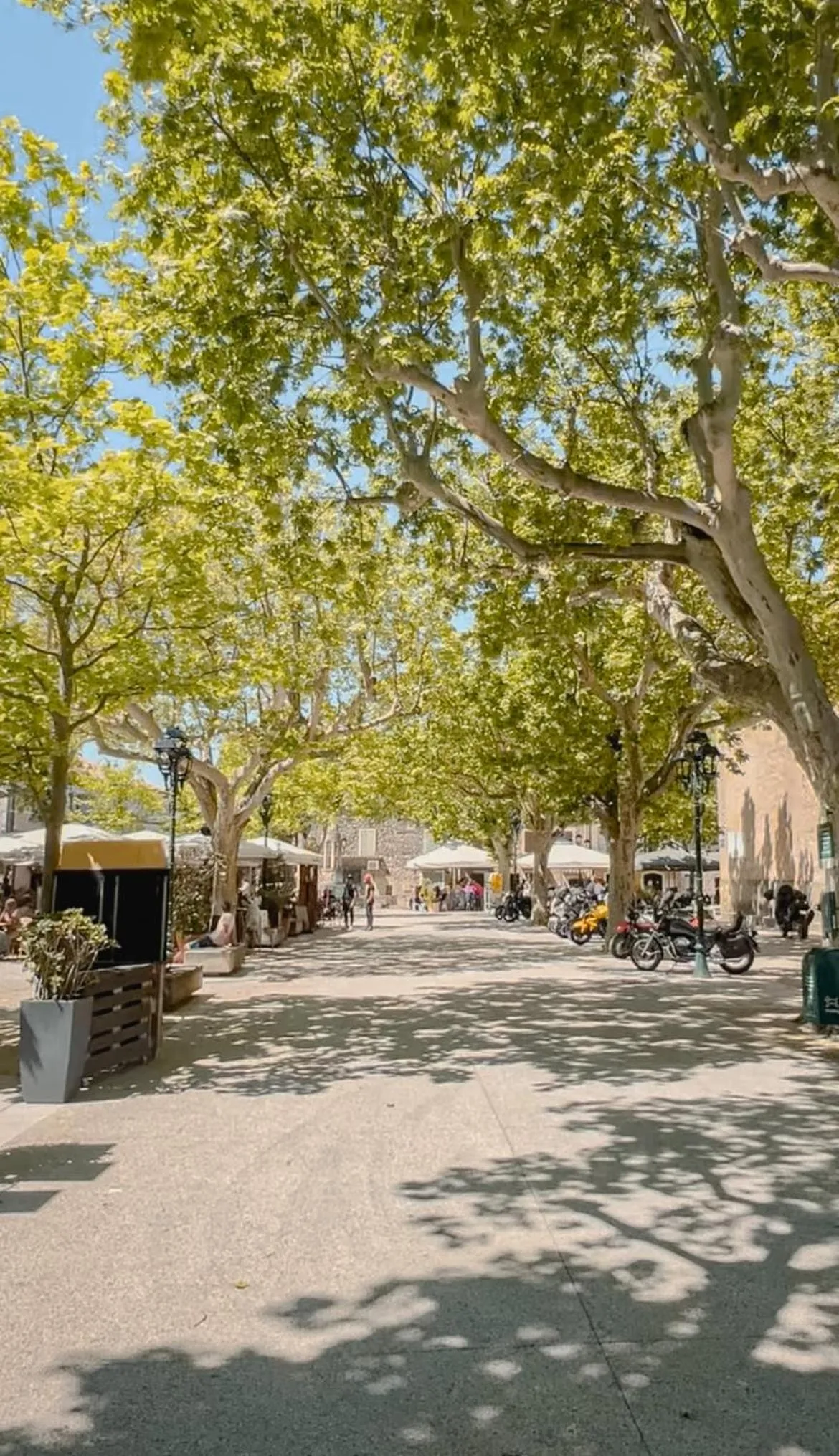 Hôtel Les Magnanarelles