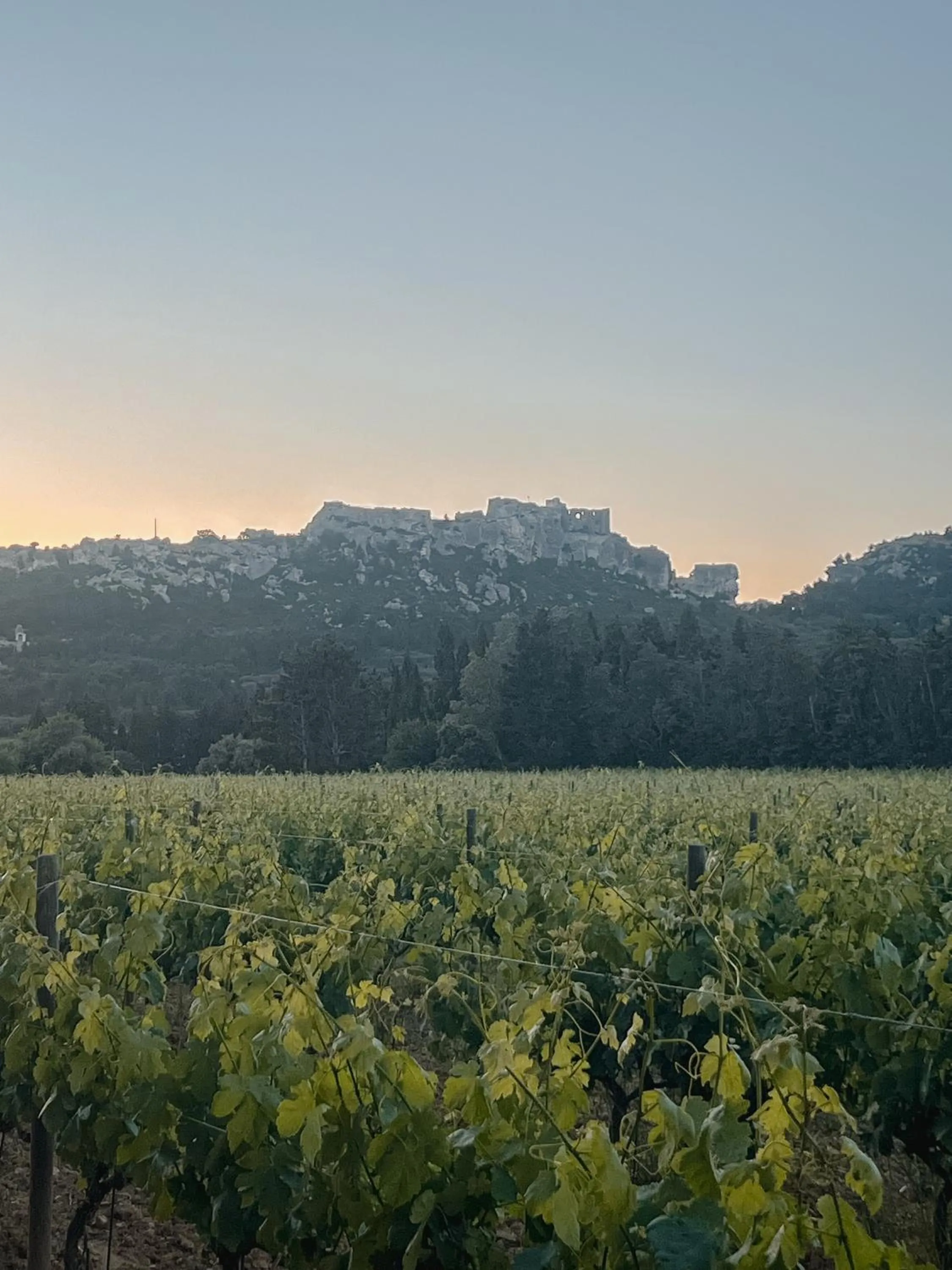 Hôtel Les Magnanarelles