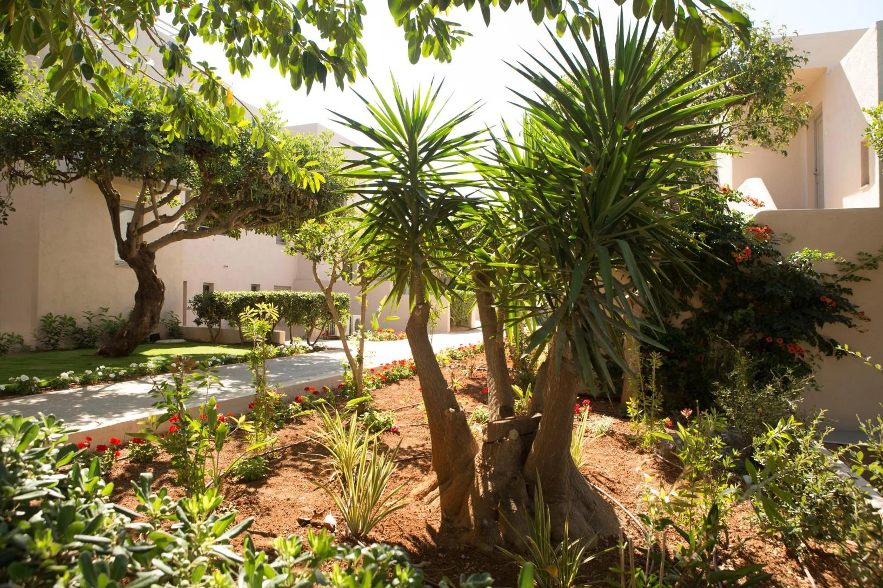Garden in Sundance Apartments & Suites