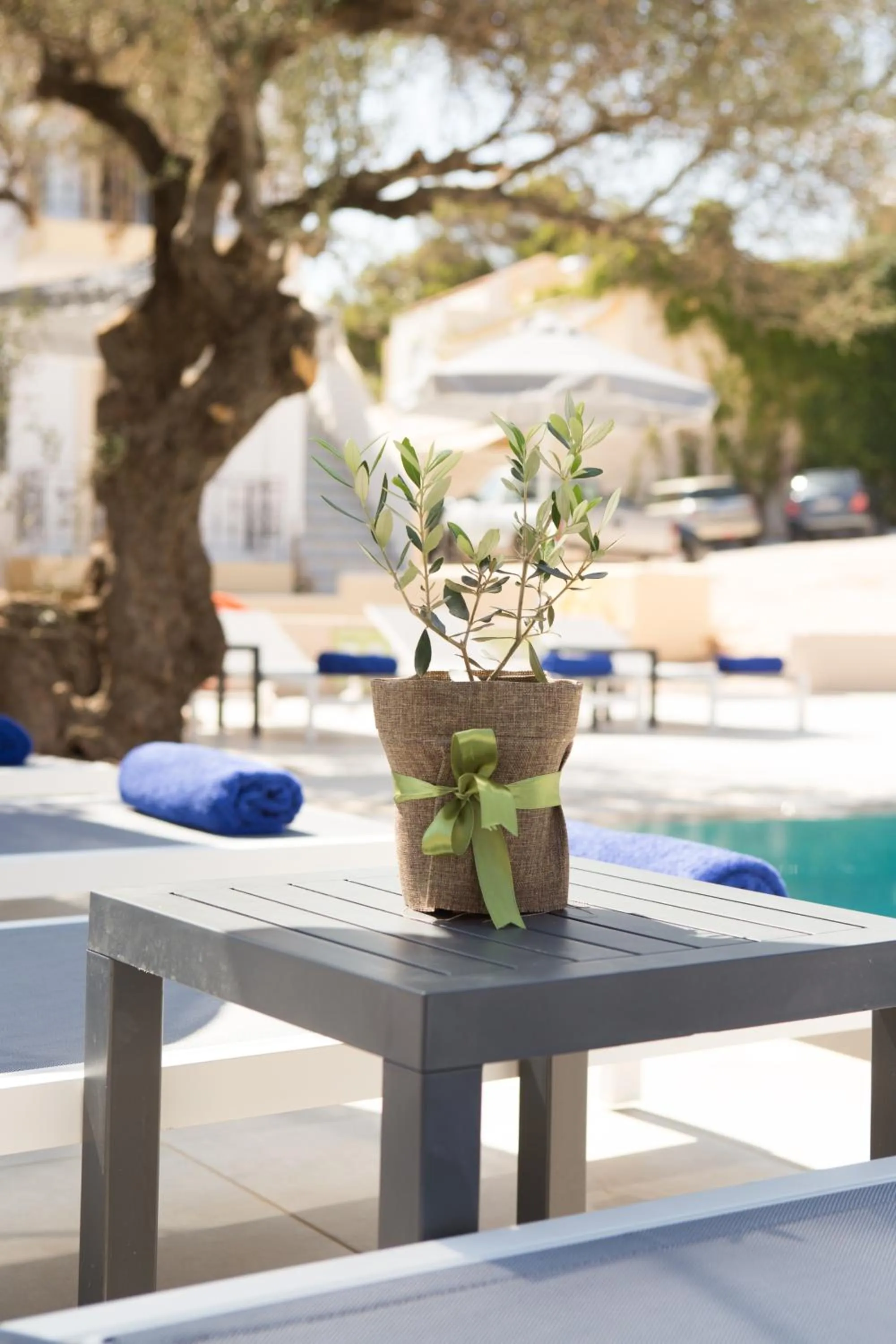 Swimming pool in Sundance Apartments & Suites