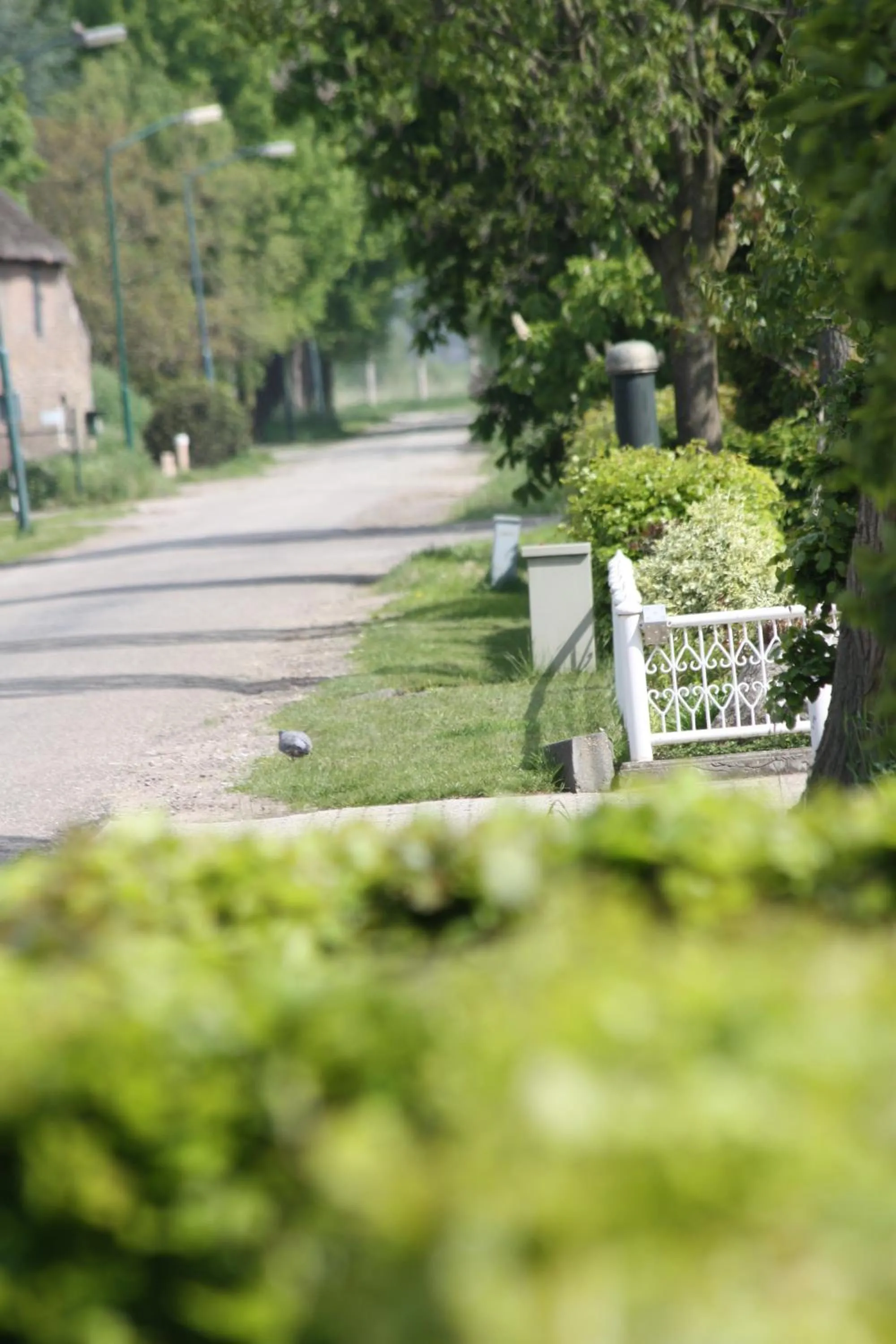 Neighbourhood in Logerenbijonsz