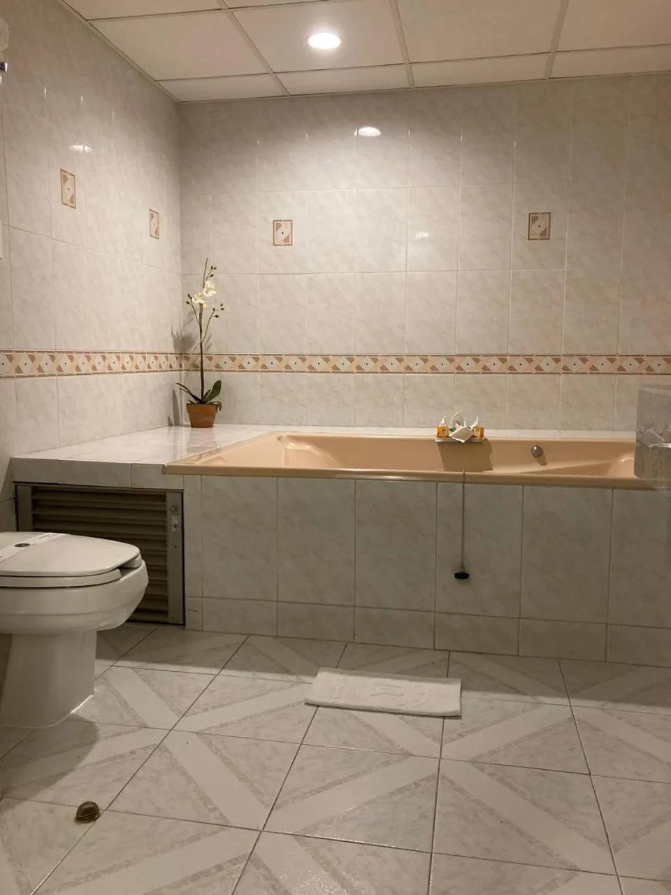 Toilet in Hotel Mirage - Centro Histórico de Querétaro