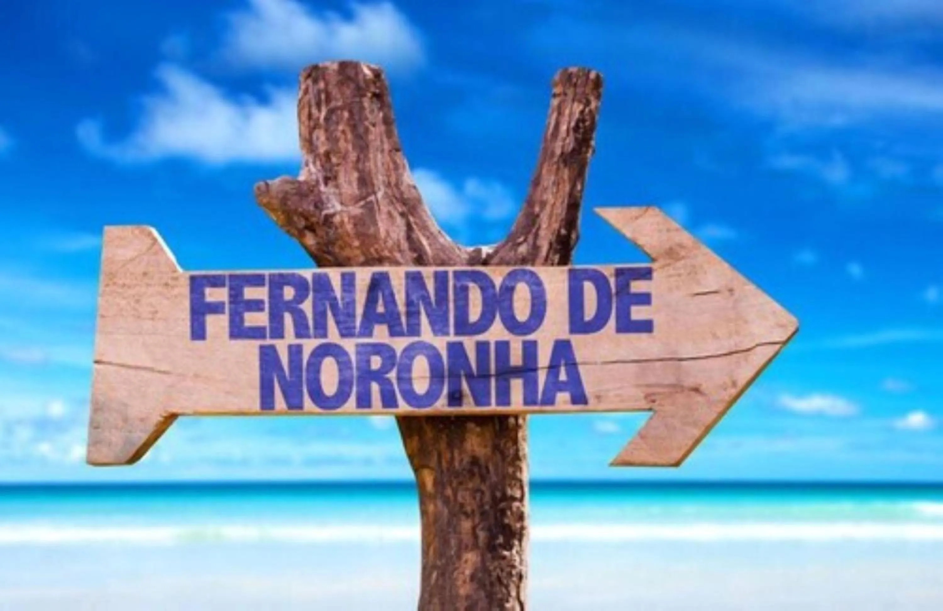 Beach in Pousada Algas Marinhas