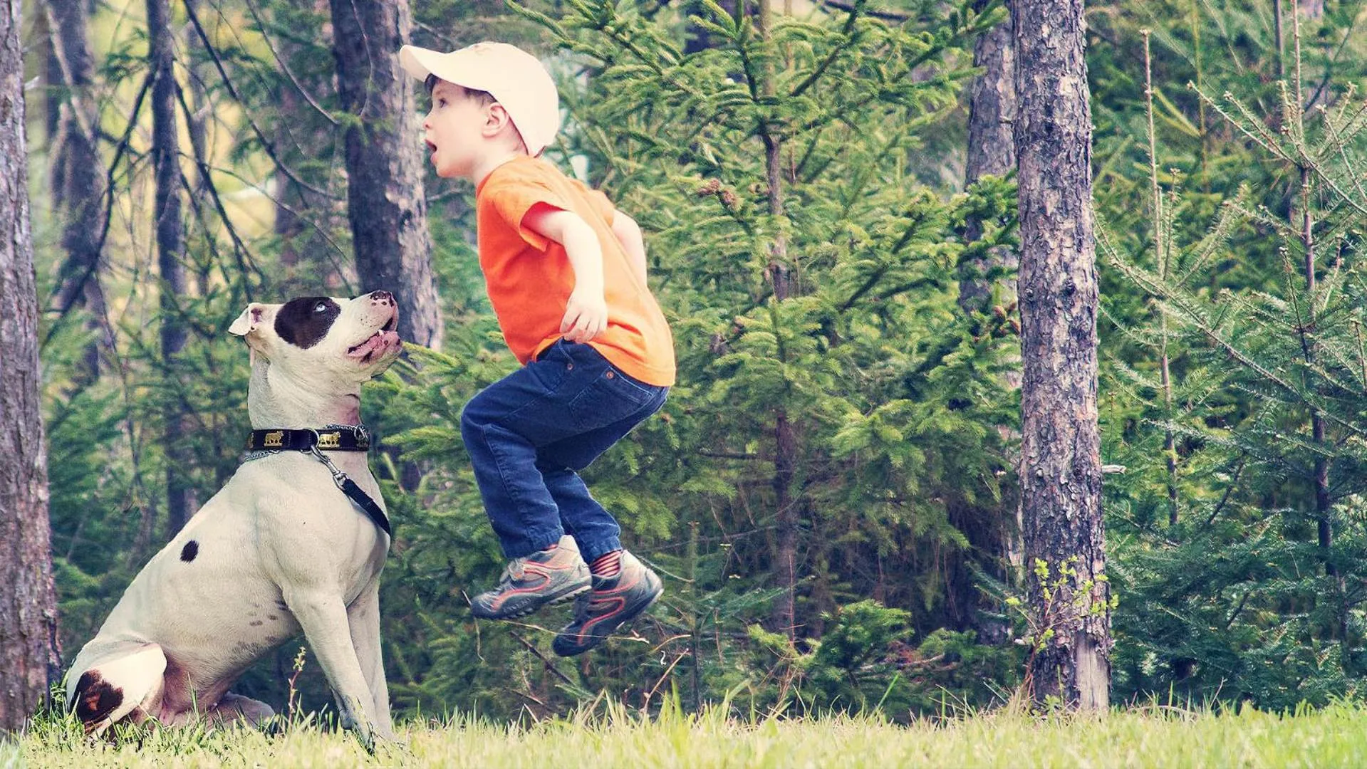 Day in Domaine Summum