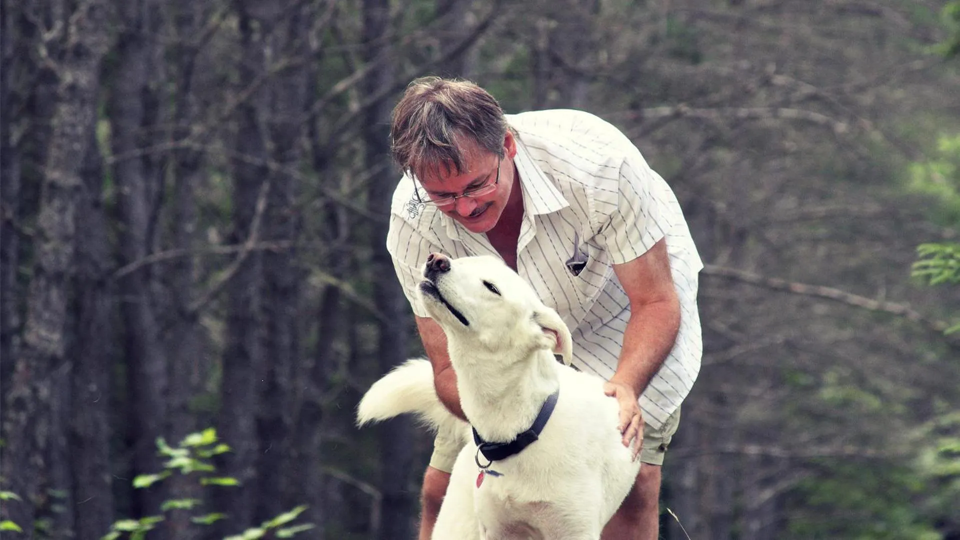 Day in Domaine Summum