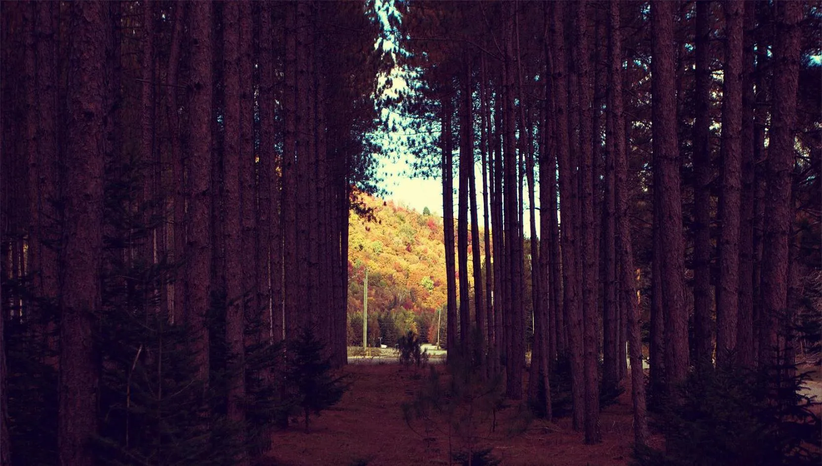 Day in Domaine Summum