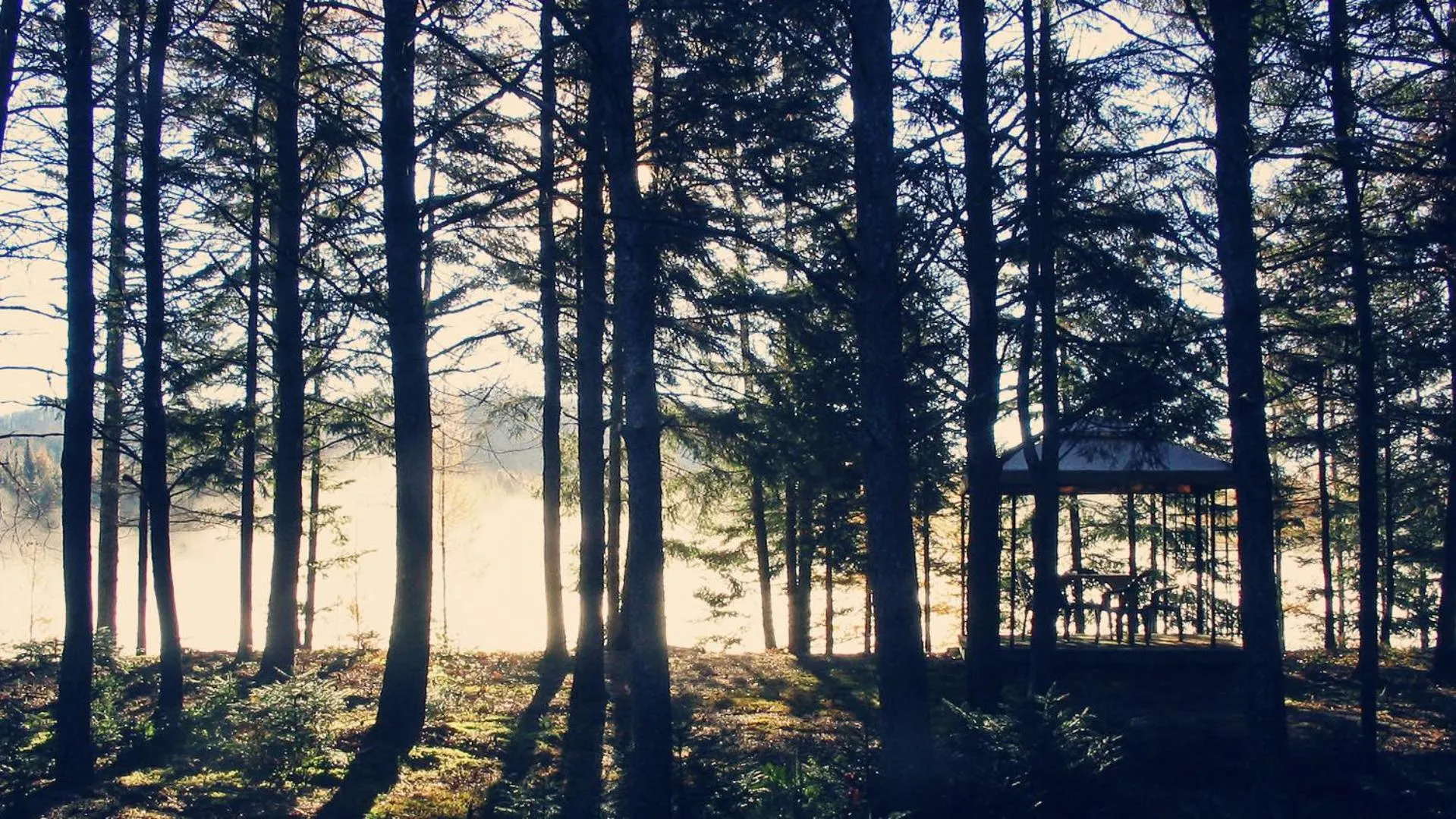 Day in Domaine Summum