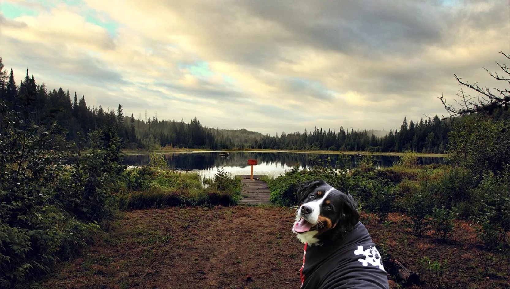 Facade/entrance in Domaine Summum