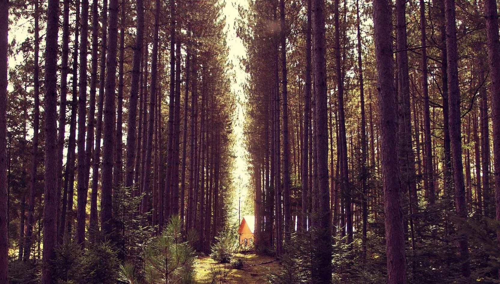 Day in Domaine Summum