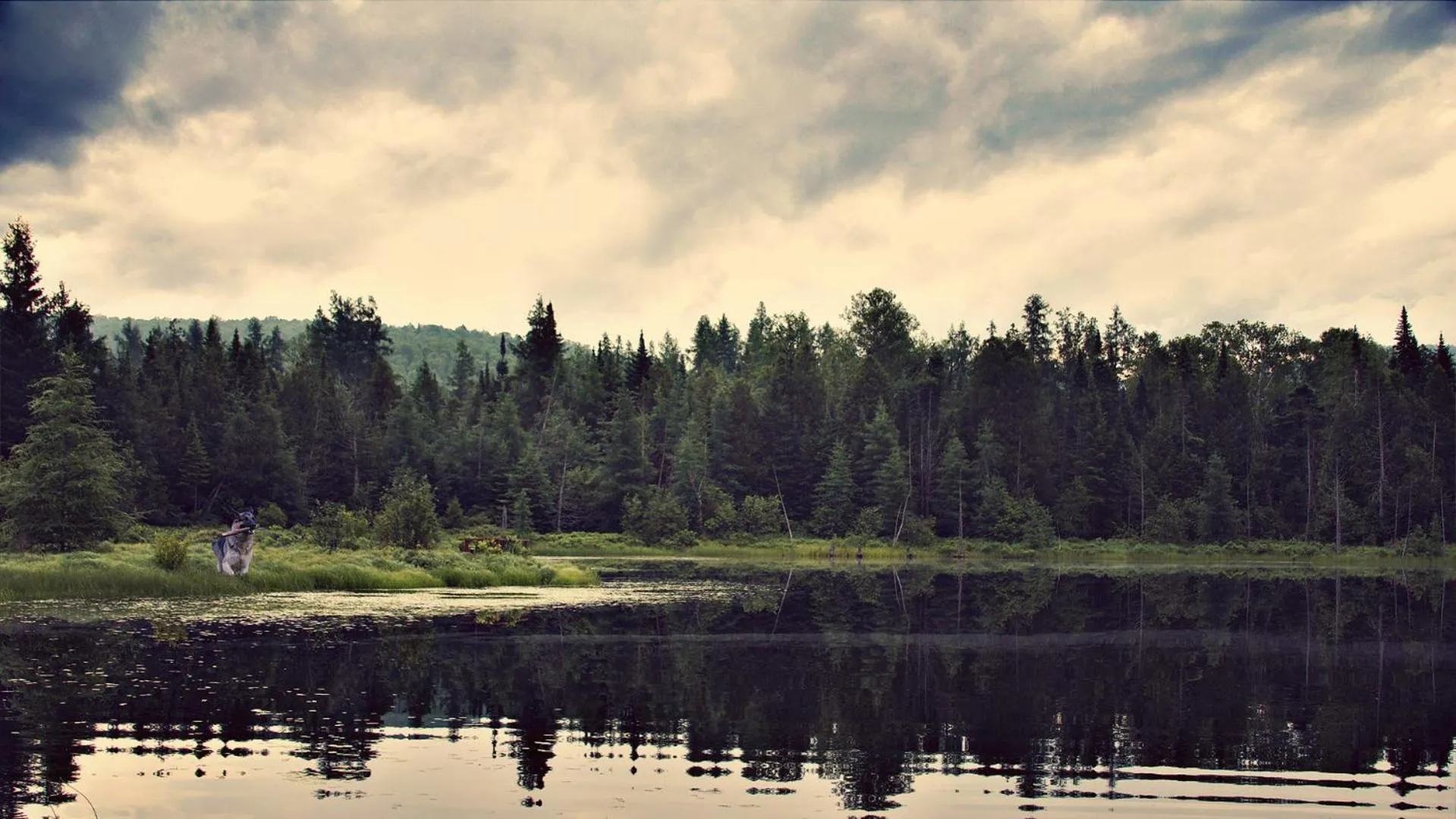 Day in Domaine Summum