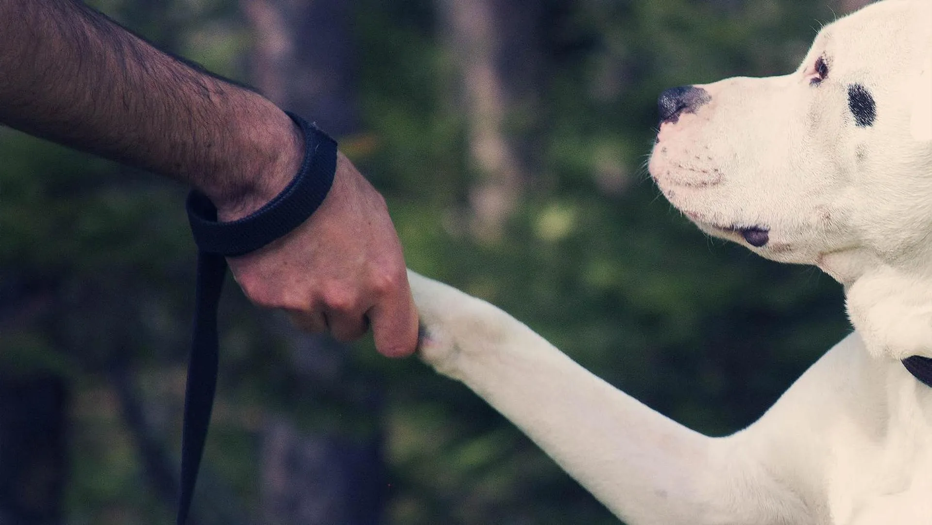 Facade/entrance in Domaine Summum
