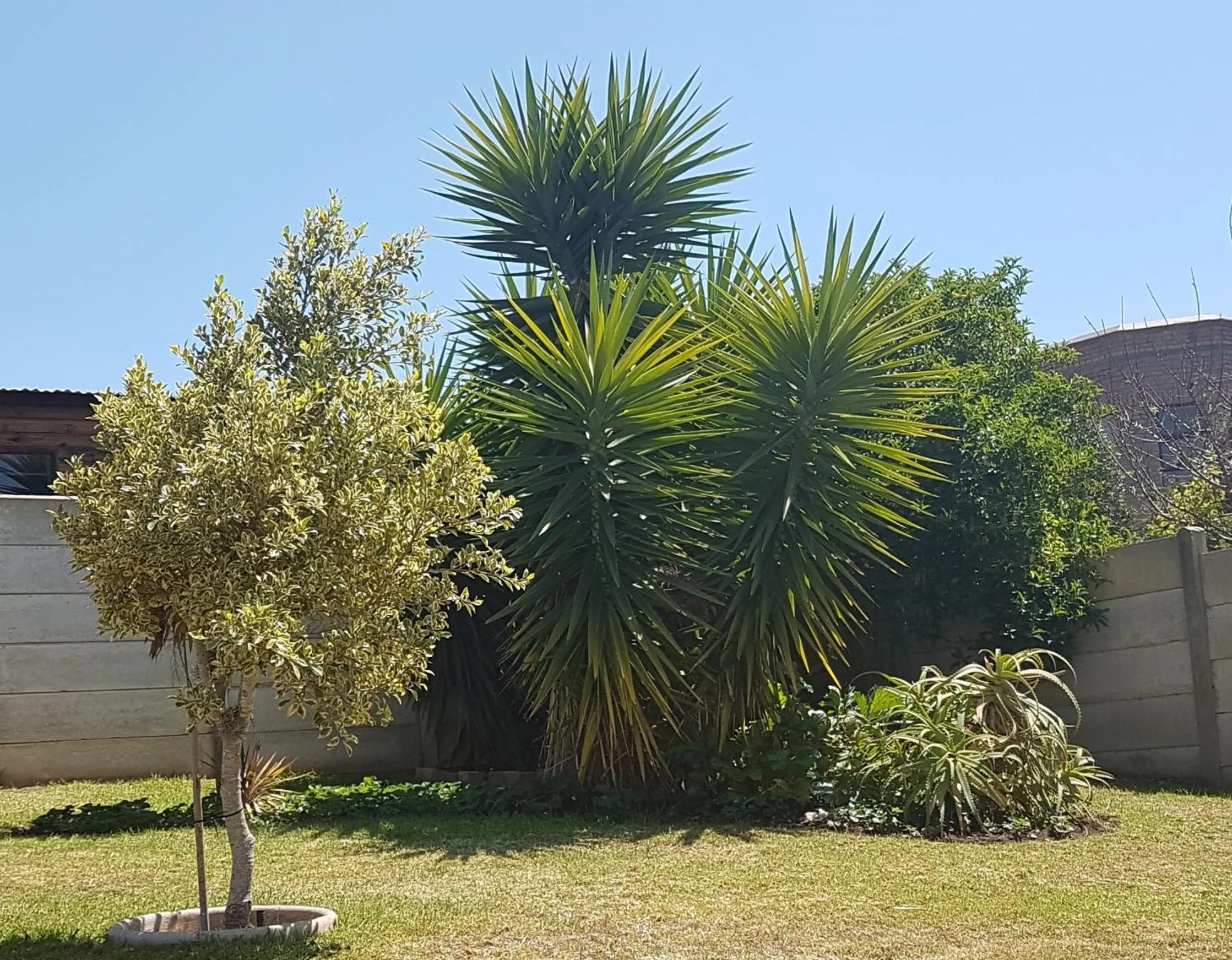 Garden in Eagle's Rest