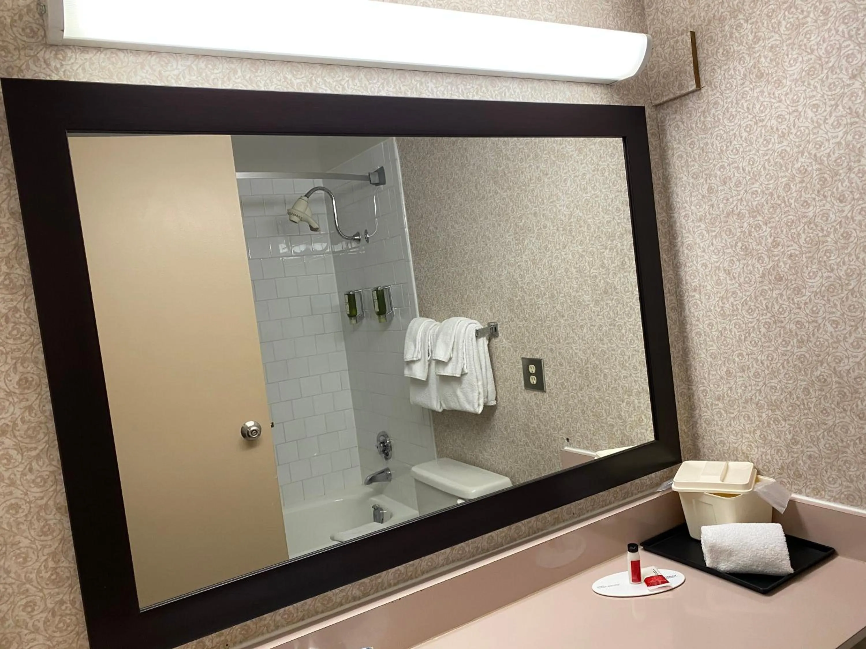 Bathroom in Ramada by Wyndham Belleville Harbourview Conference Center