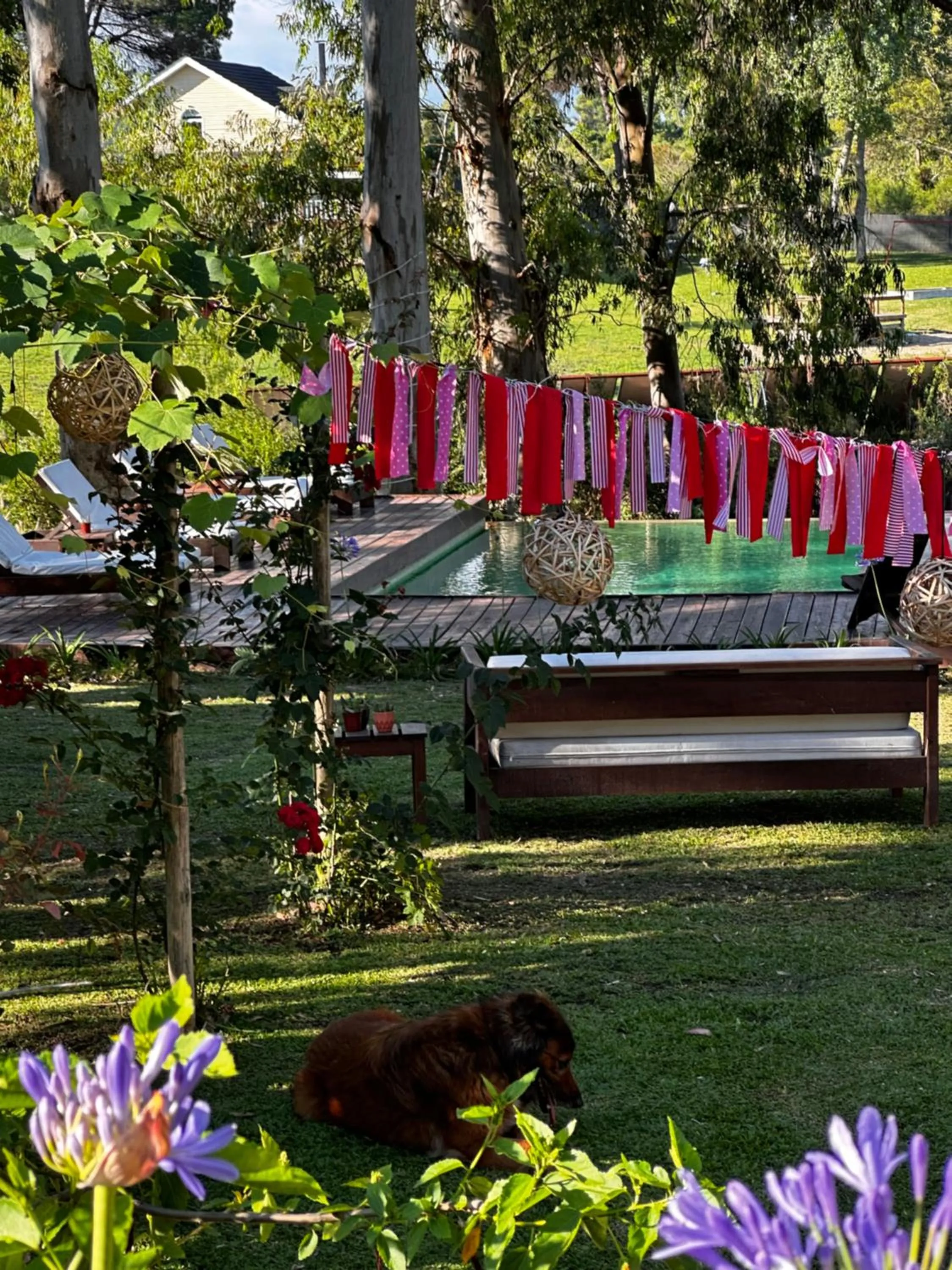 Day in Al Natural Posada