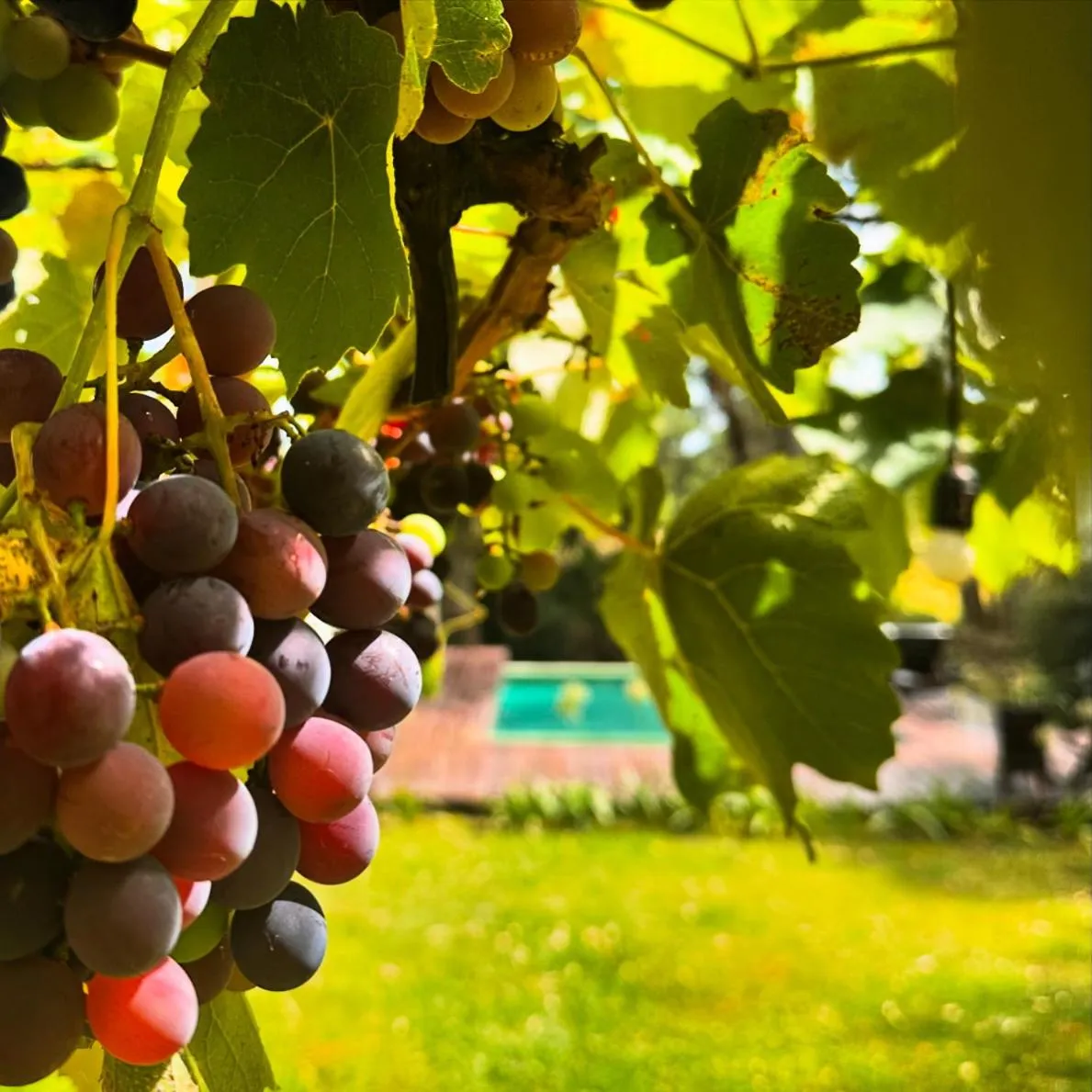 Day in Al Natural Posada