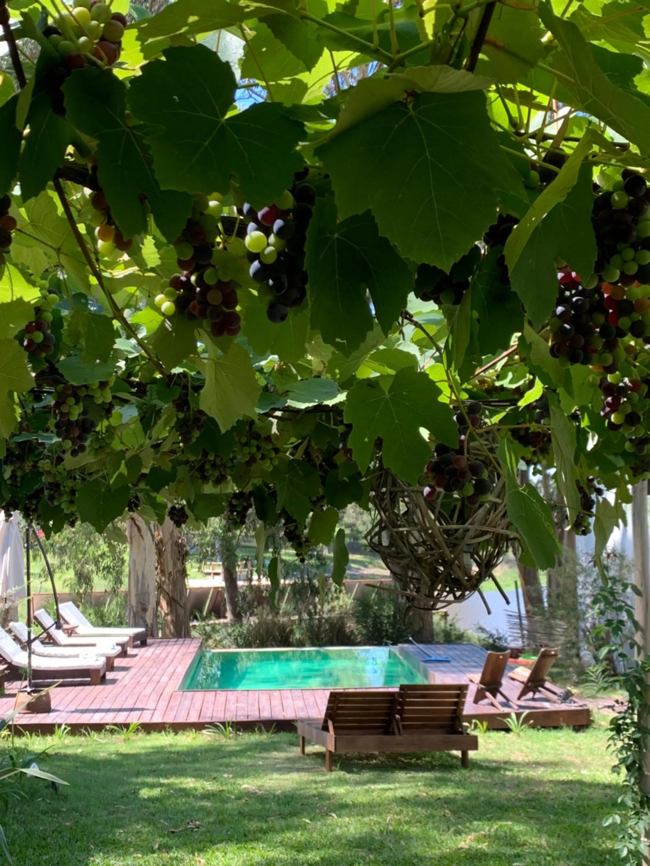 Day in Al Natural Posada