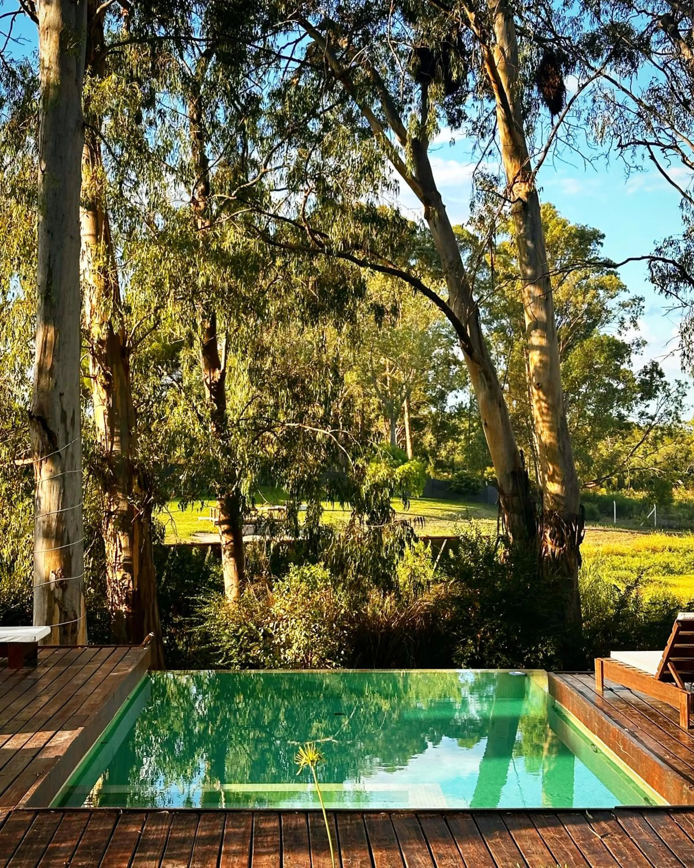 Garden in Al Natural Posada