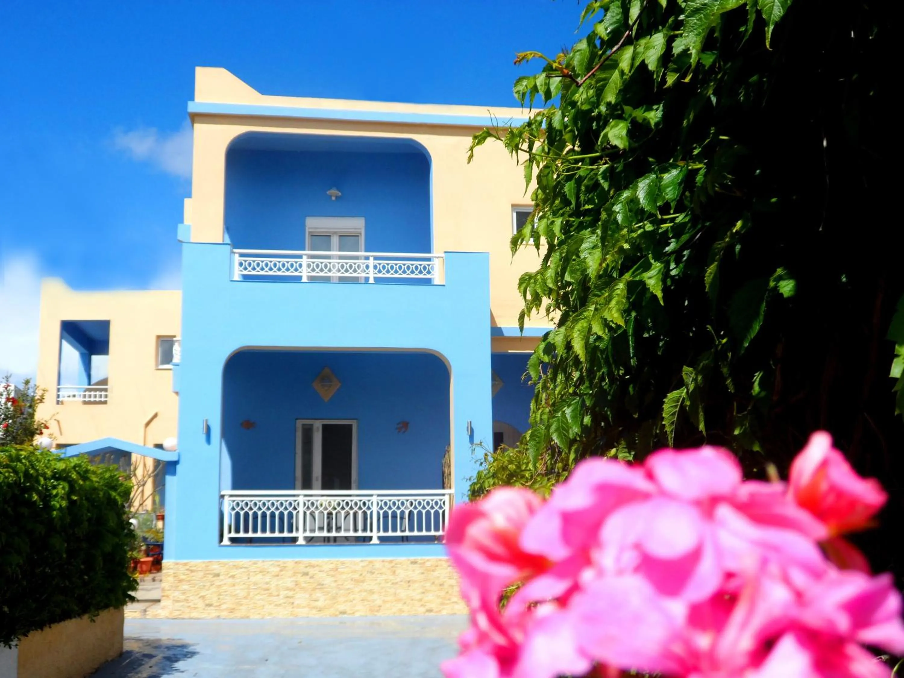 Property building in Papafotis Apartments & Suites