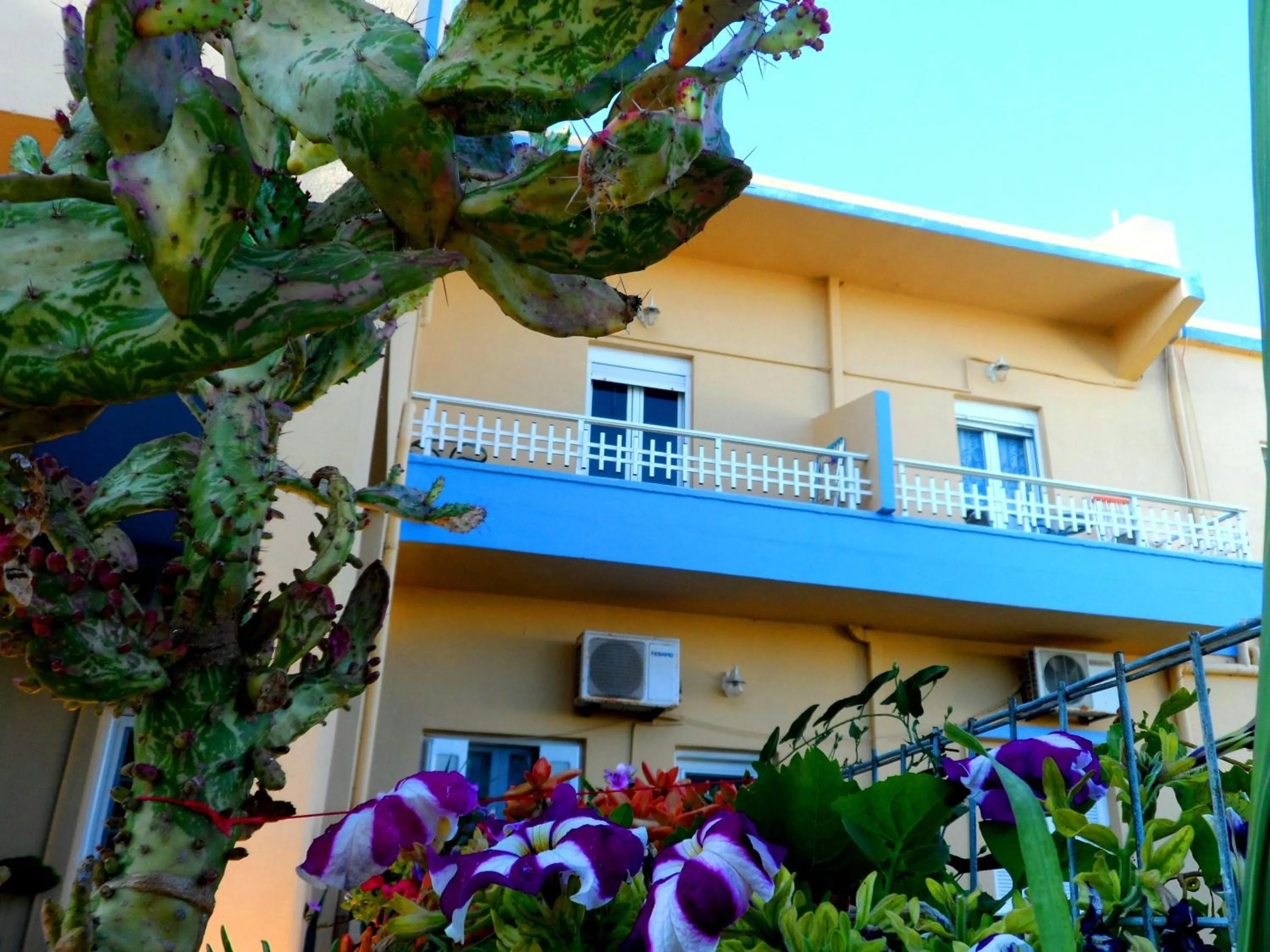 Property building in Papafotis Apartments & Suites