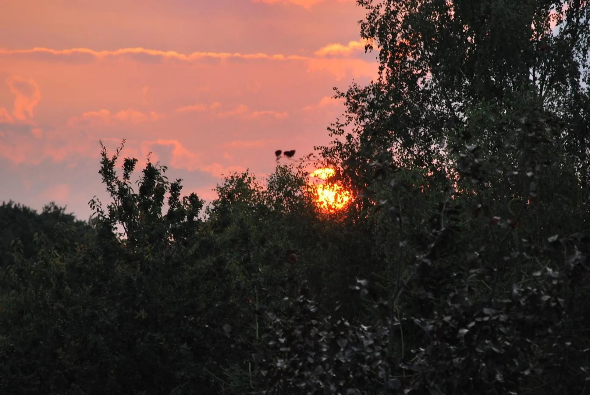 Sunset in Hotel & Restaurant Märkische Schweiz