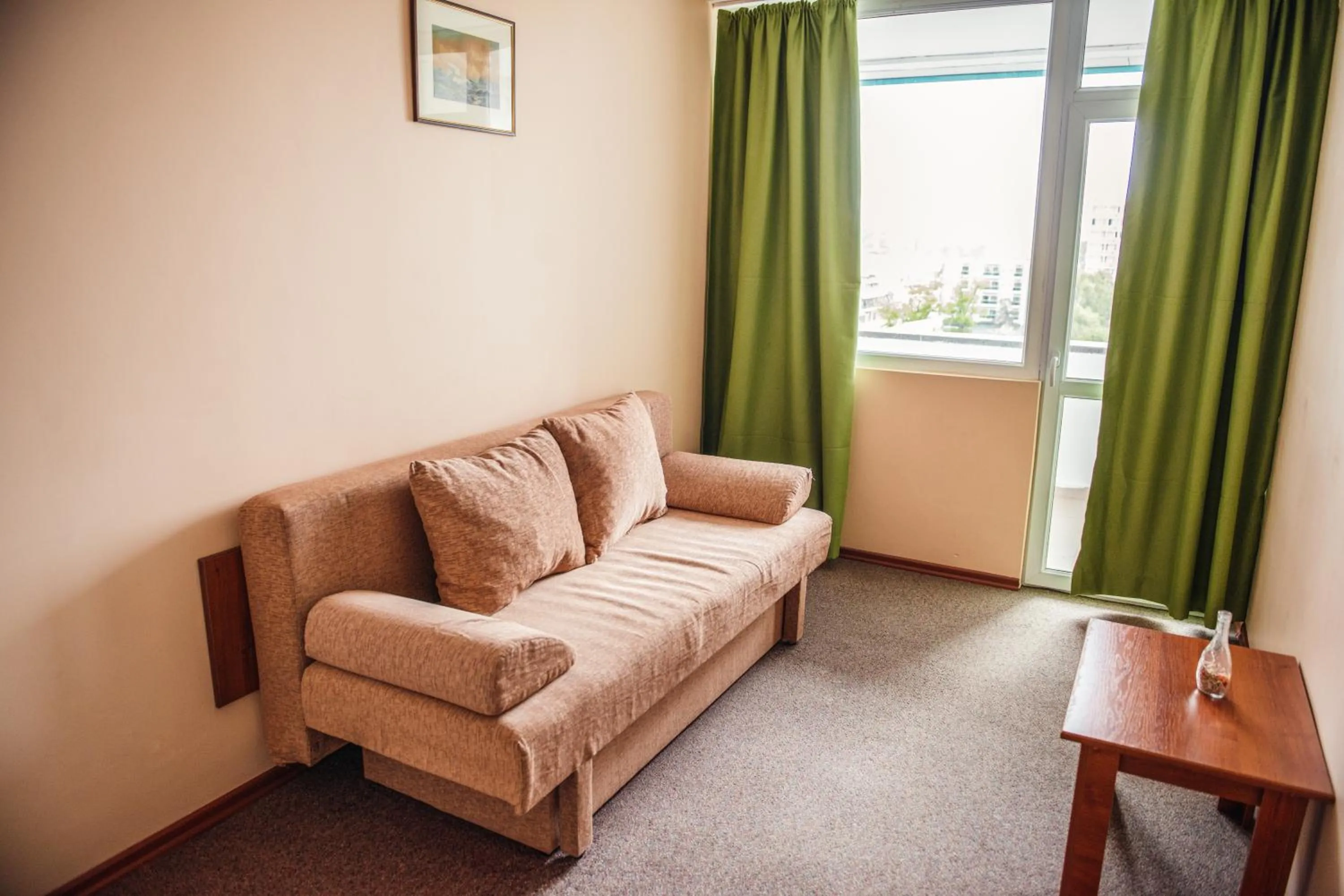 Living room in Hotel Doina