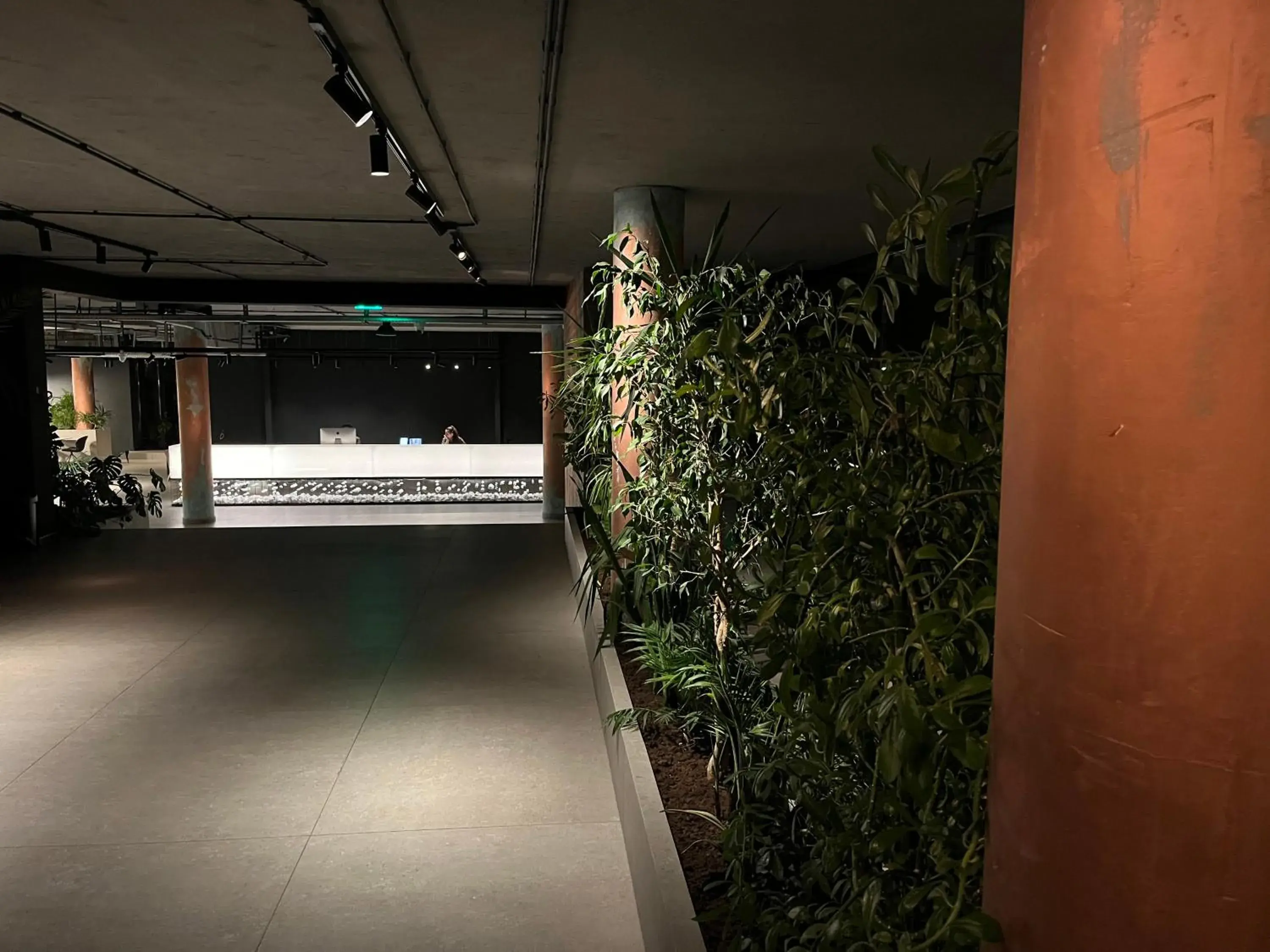 Hotel Doina Hotel Doina