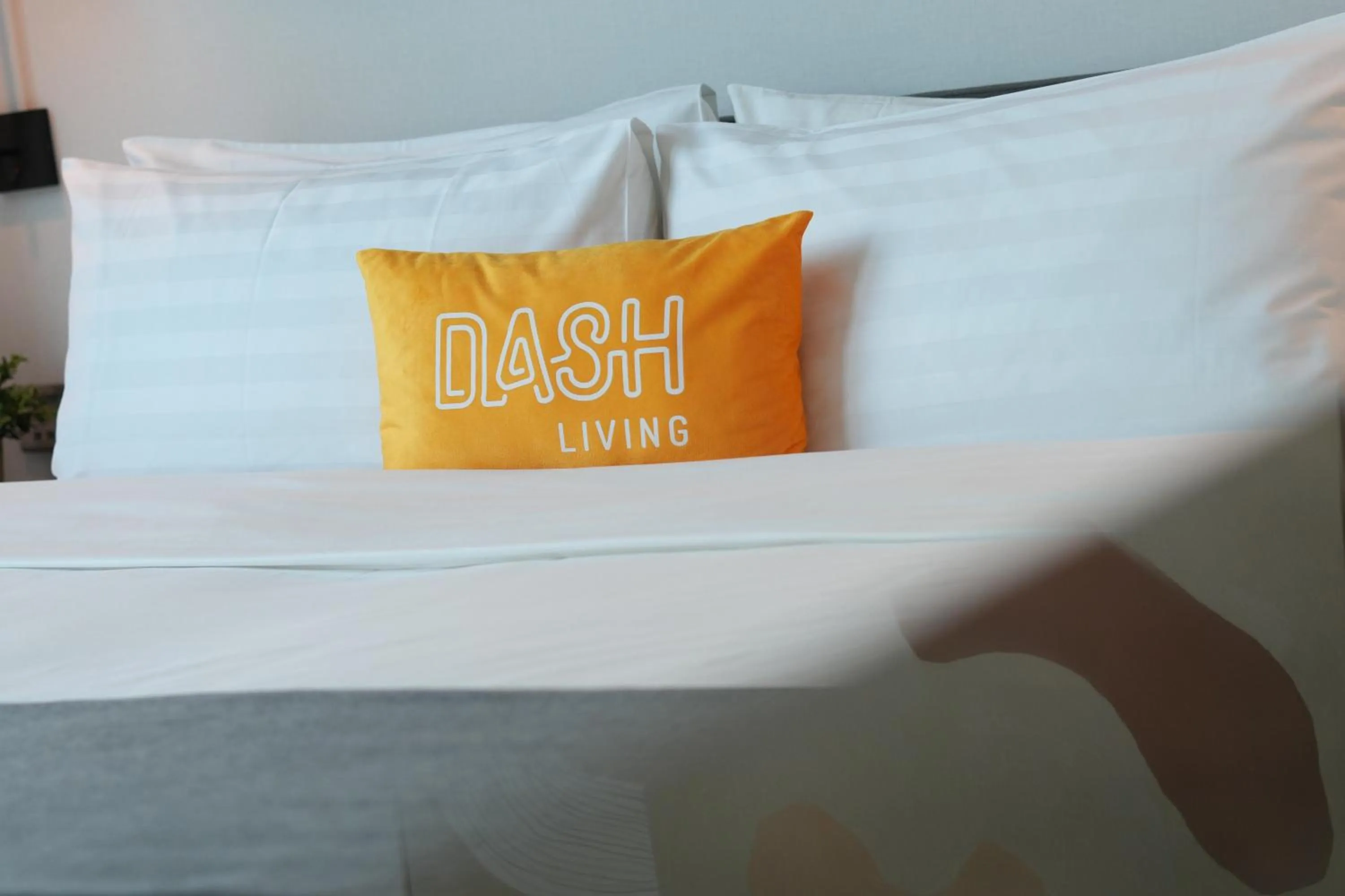 Bed in Dash Living on Queen's