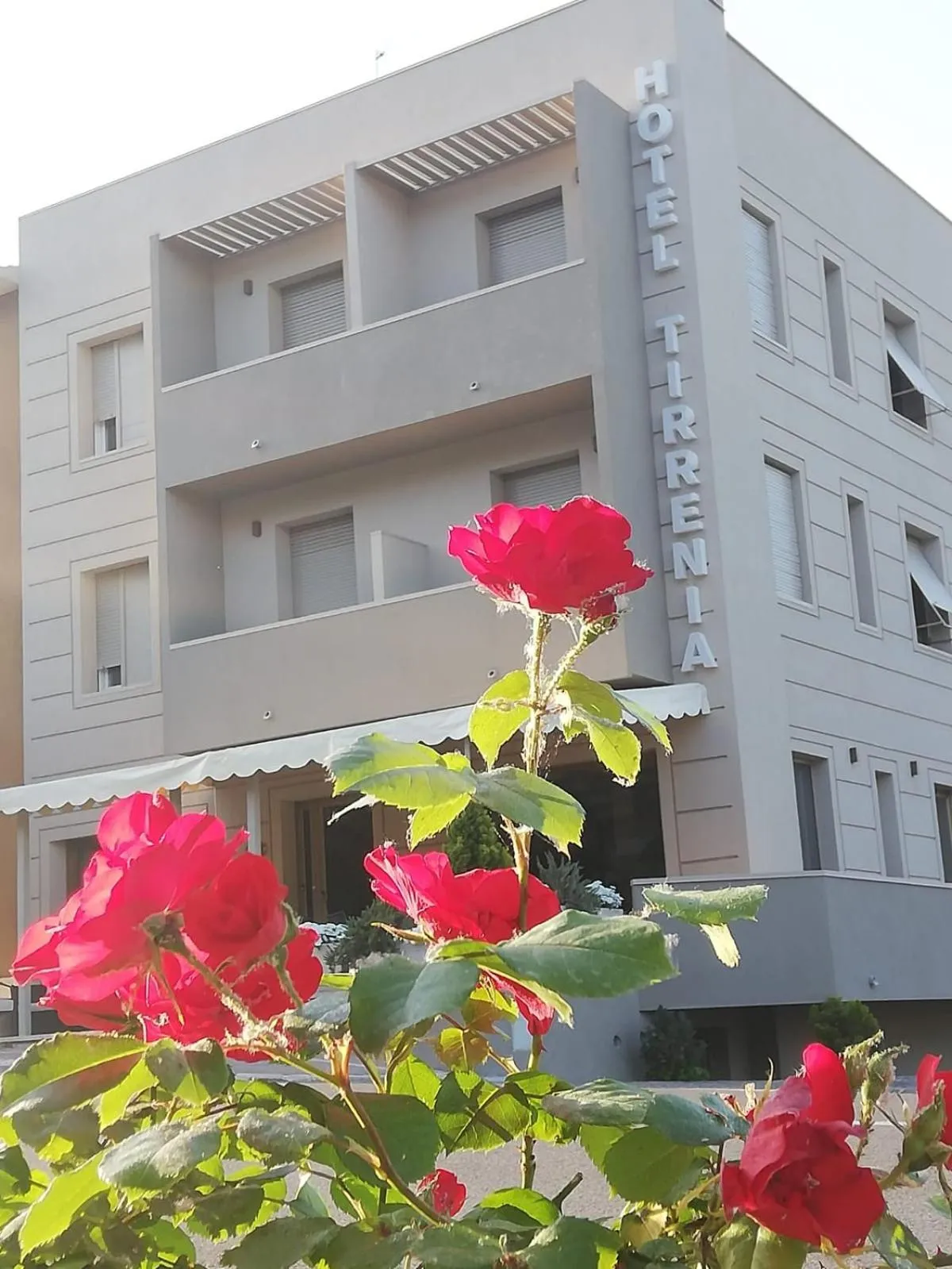 Property building in Hotel Tirrenia