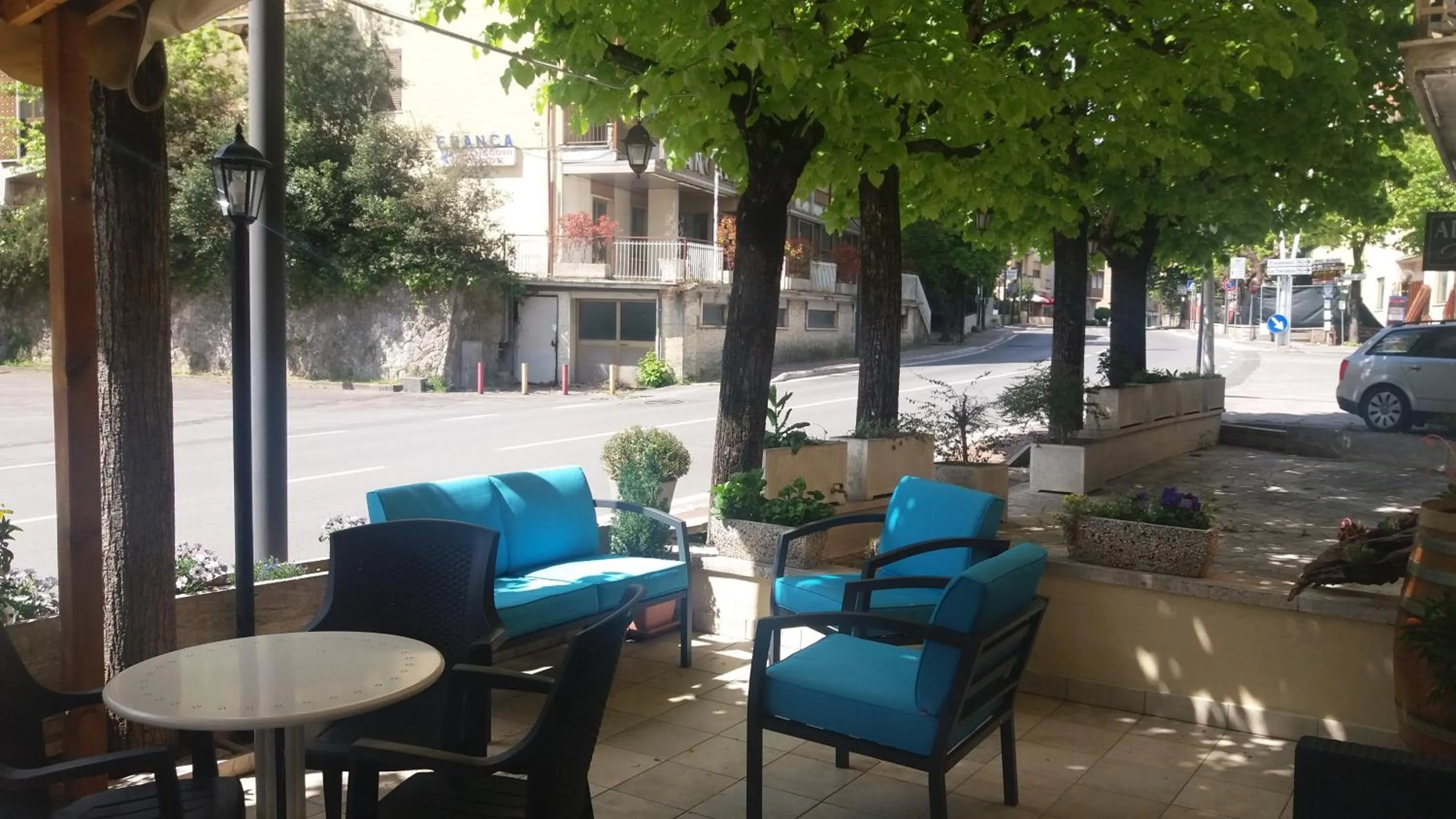 Garden in Hotel Tirrenia