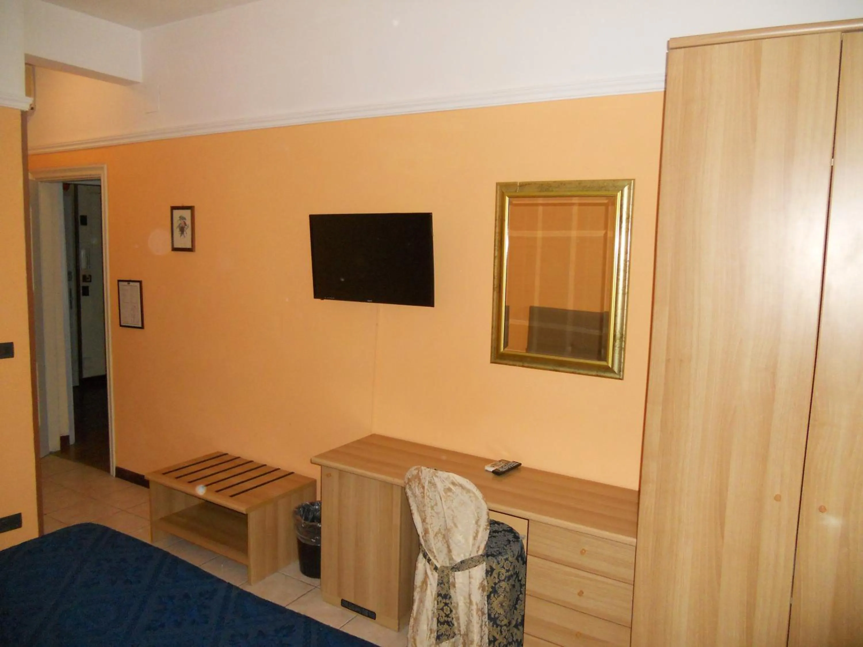 TV and multimedia in Hotel Salus