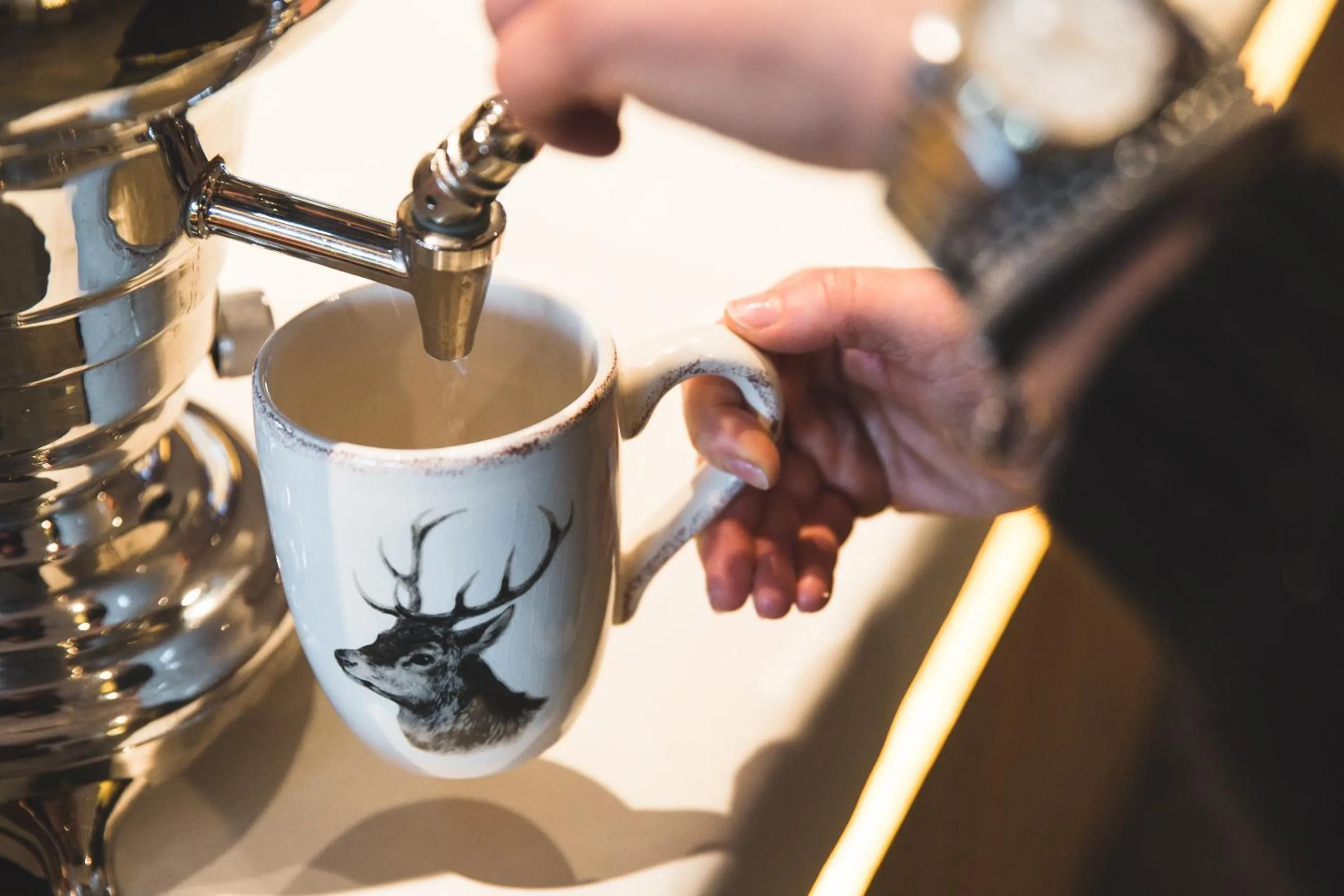 Restaurant/places to eat in Hotel Savoia dal 1924