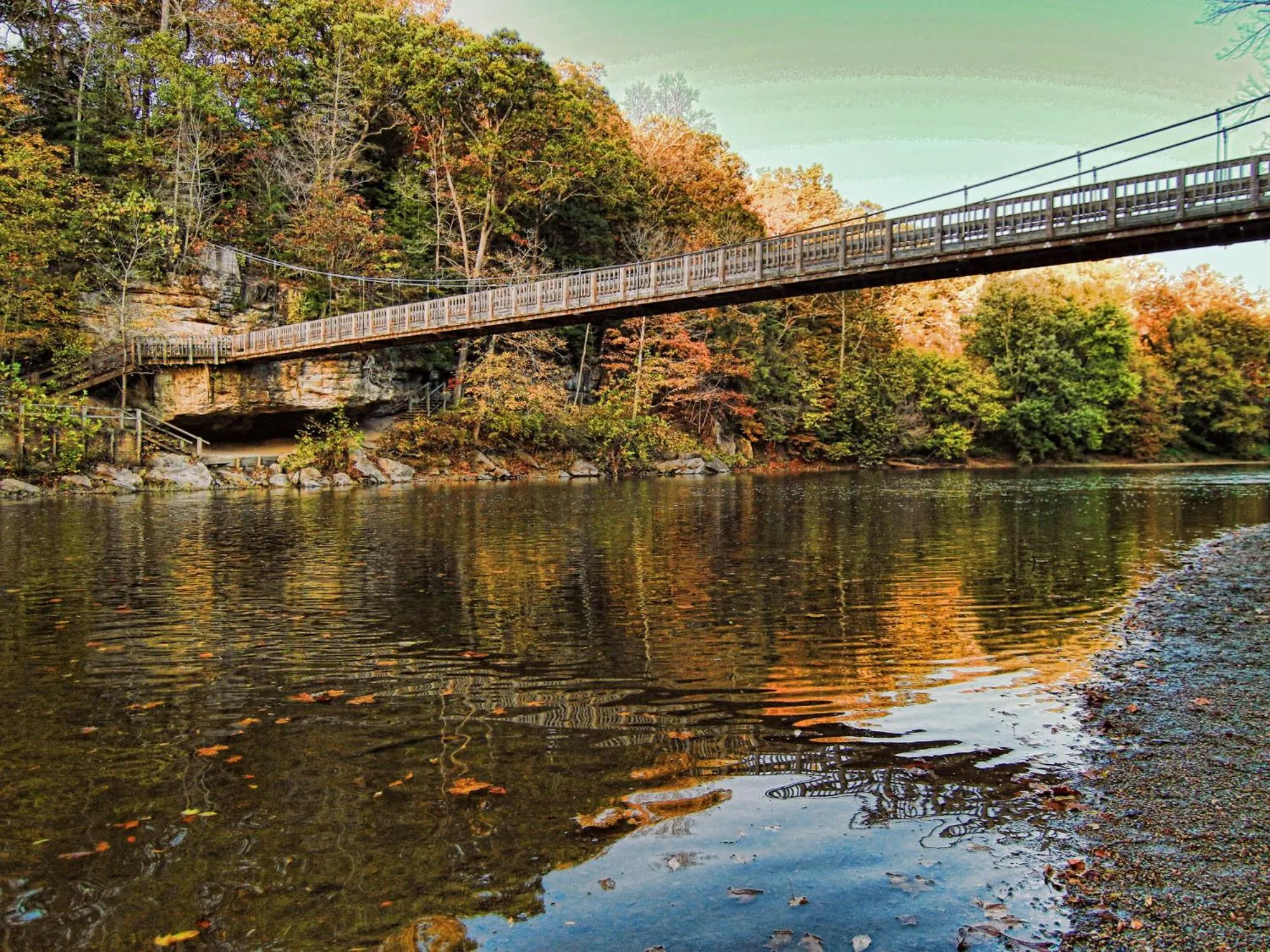 View (from property/room) in Turkey Run Inn & Cabins