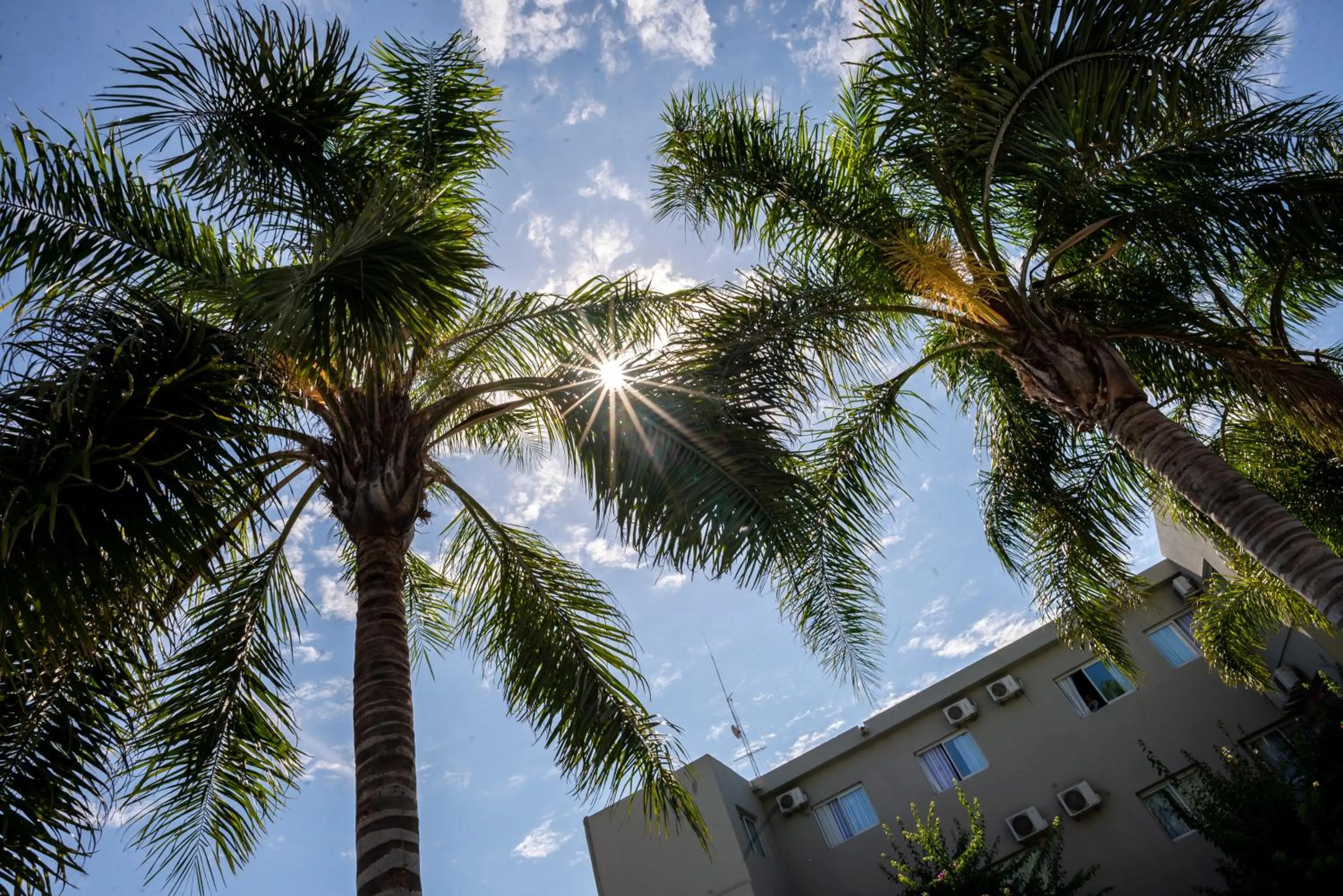 Garden in Hotel Termal Emperatriz Termas de Río Hondo