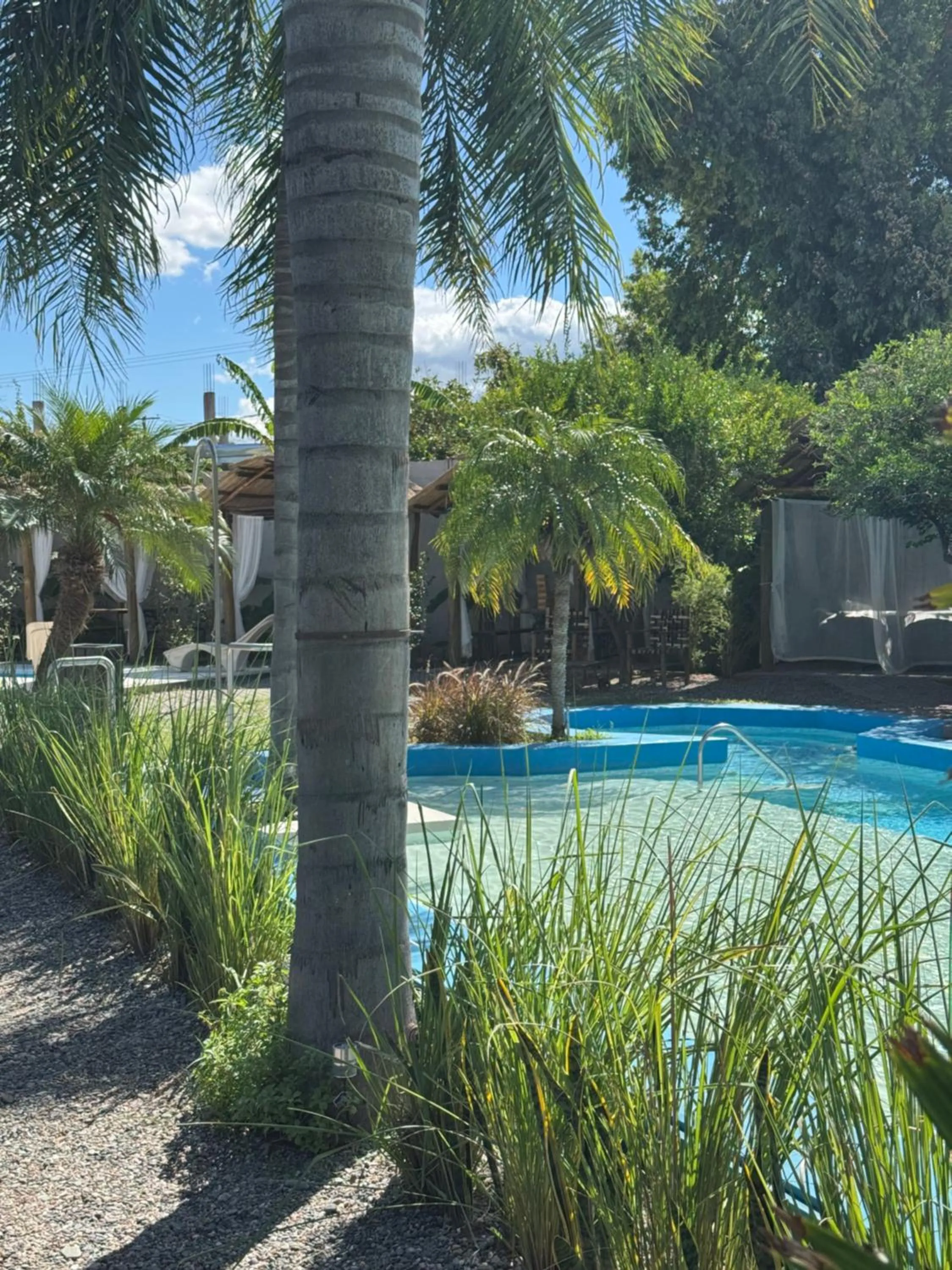 Spring in Hotel Termal Emperatriz Termas de Río Hondo