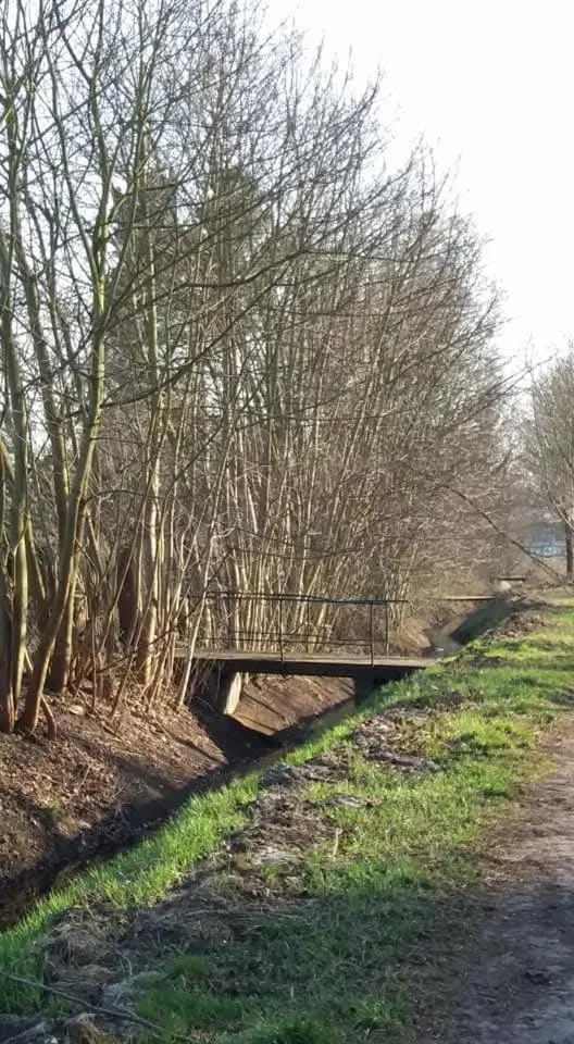 Area and facilities in Landhotel "Zum ersten Siedler"