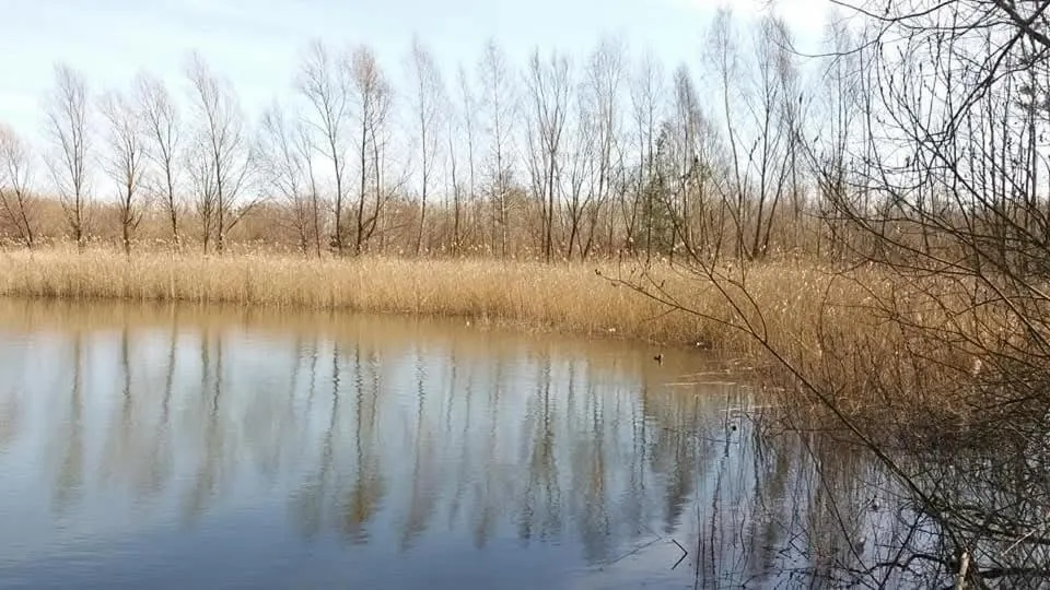 Area and facilities in Landhotel "Zum ersten Siedler"