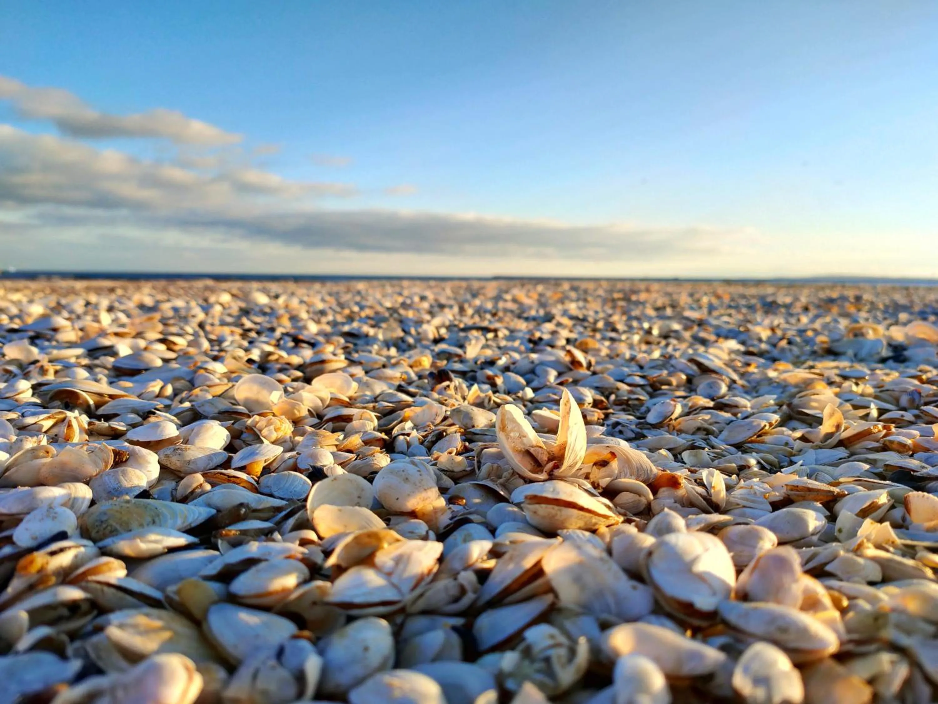 Natural landscape in Admirał I