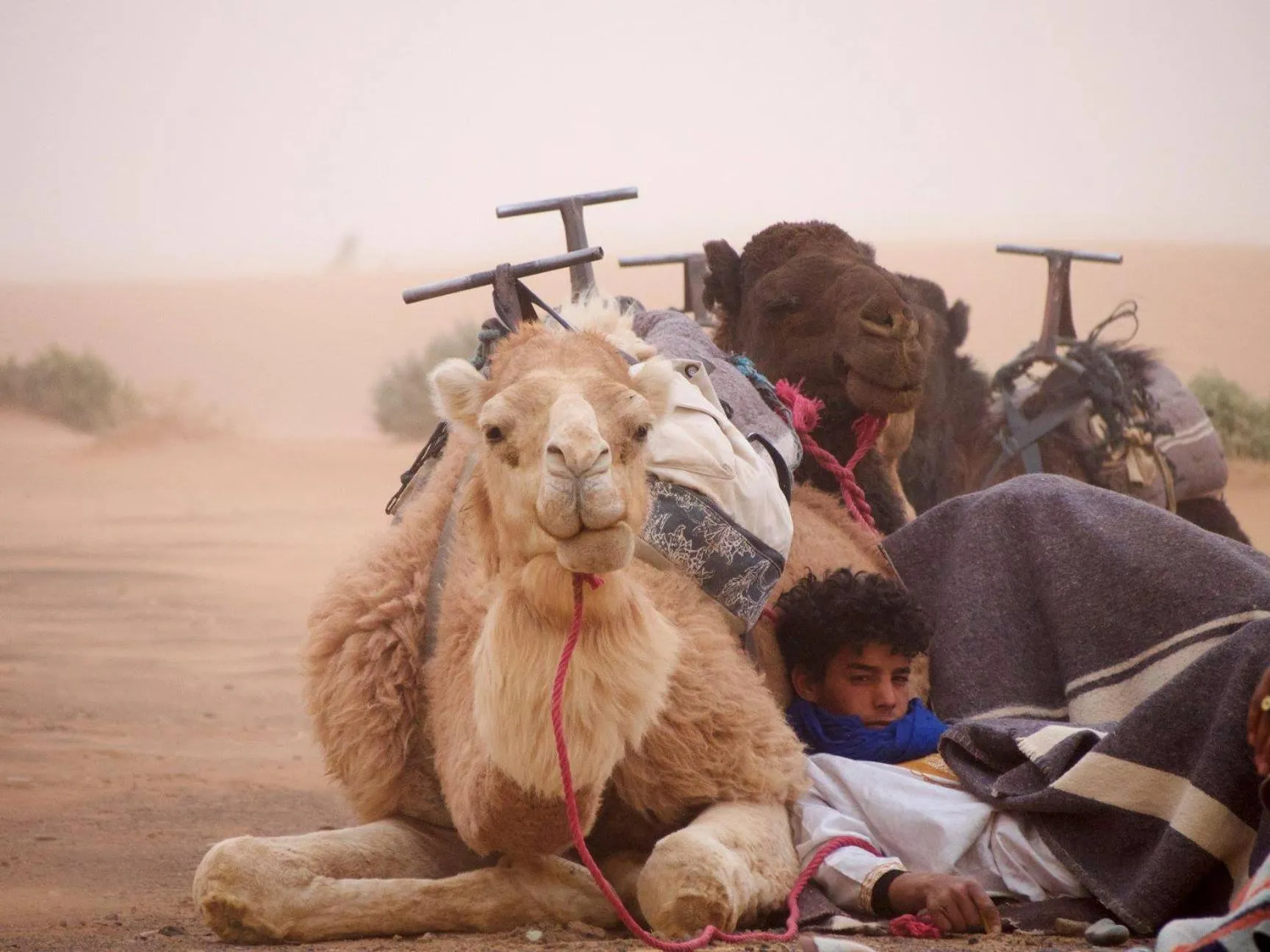 Staff in Kasbah Erg Chebbi