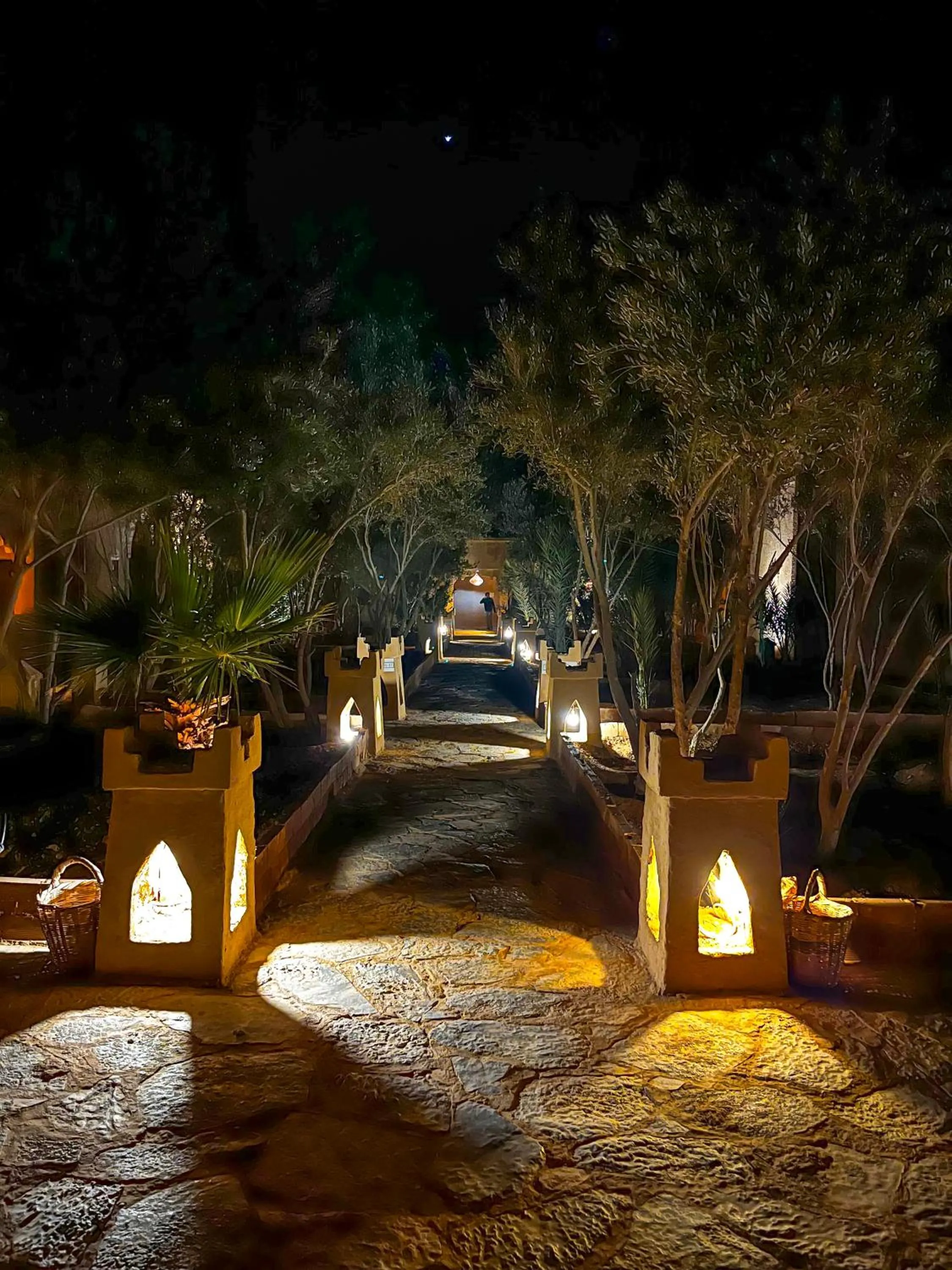 Garden in Kasbah Erg Chebbi