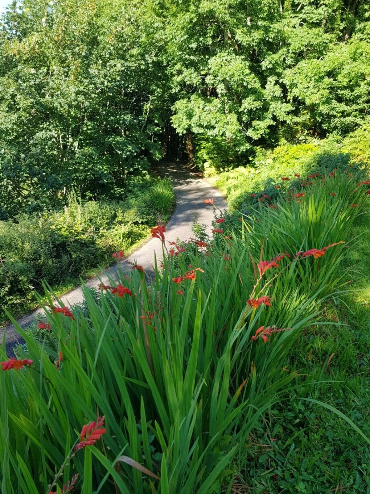 Garden in The Old Cottage