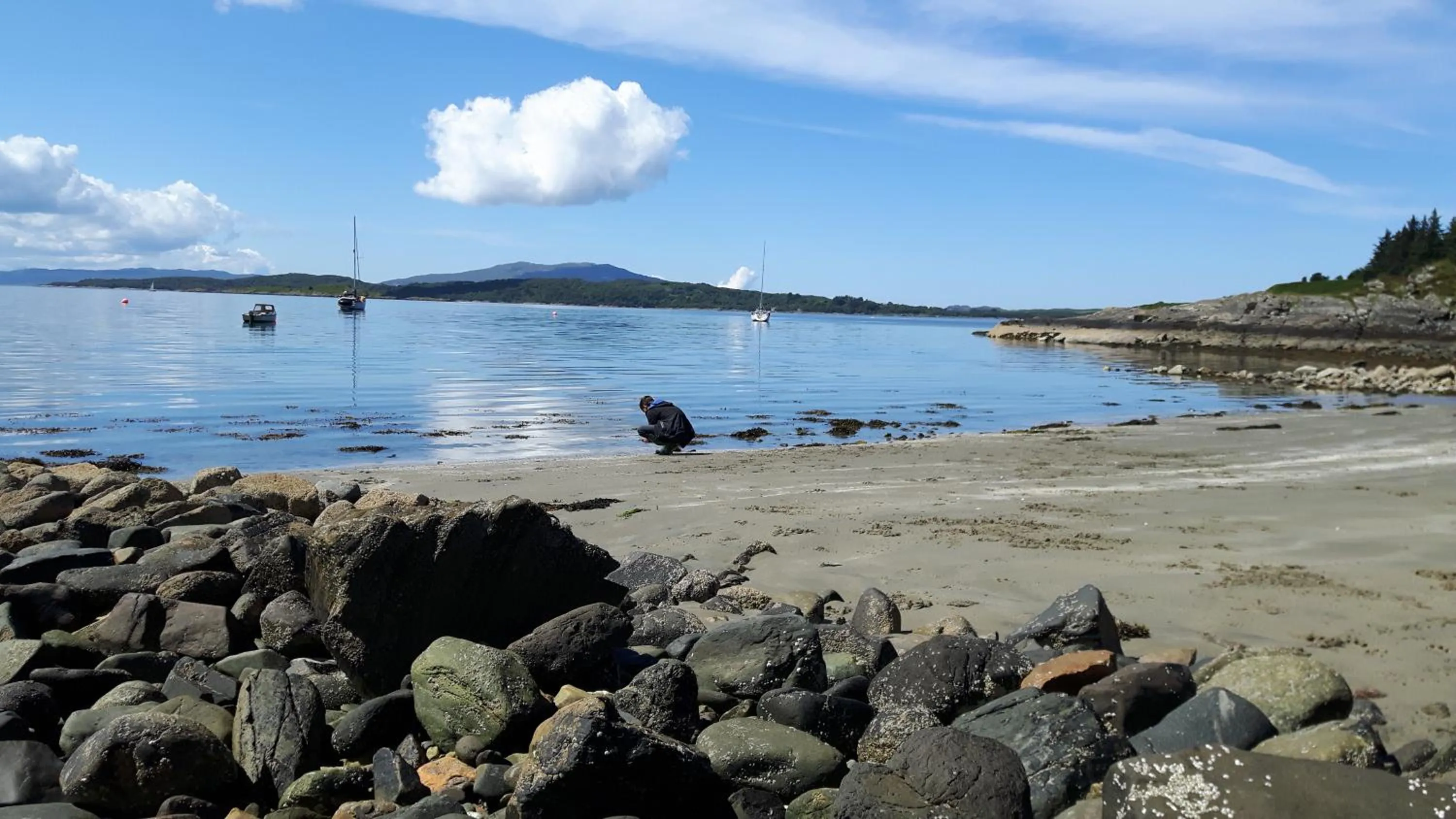 Beach in The Old Cottage
