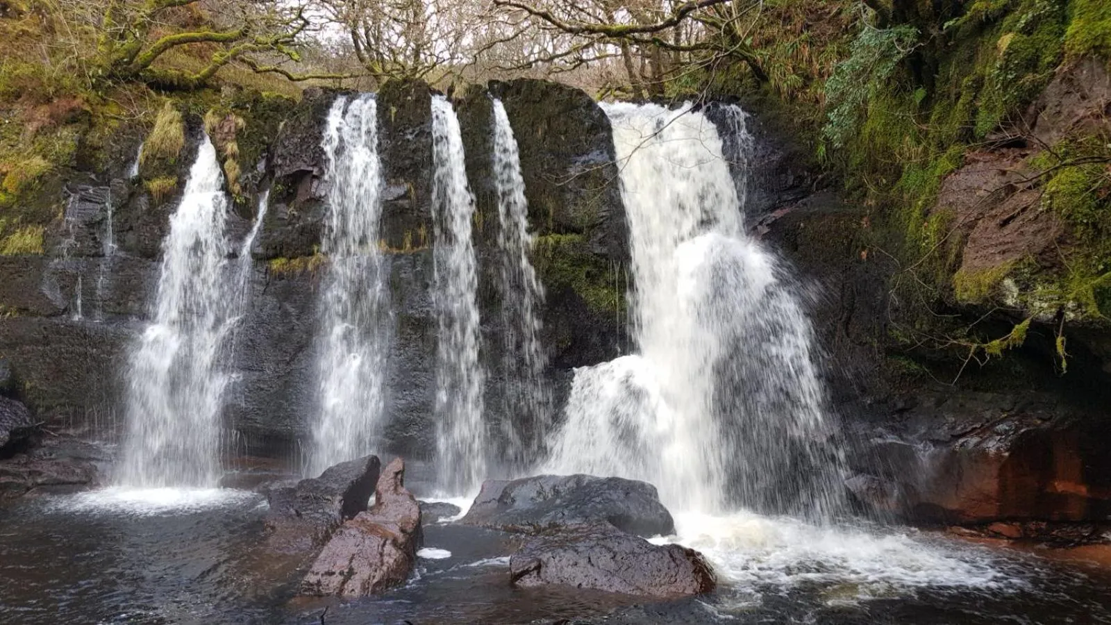 Natural landscape in The Old Cottage