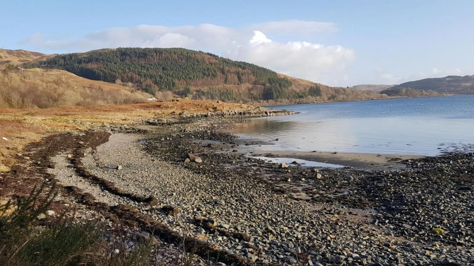 Beach in The Old Cottage