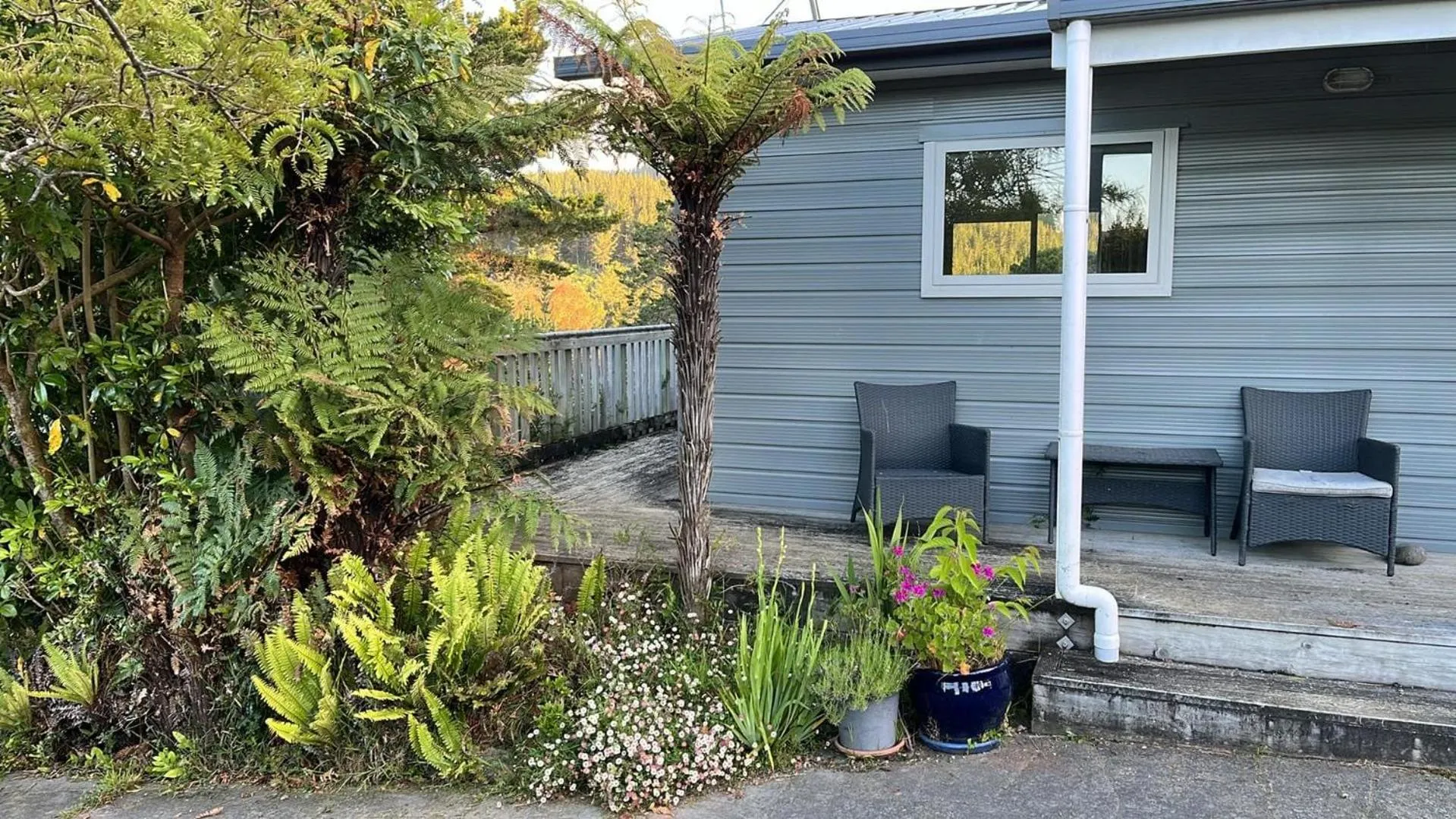 Property building in Incline Cottage