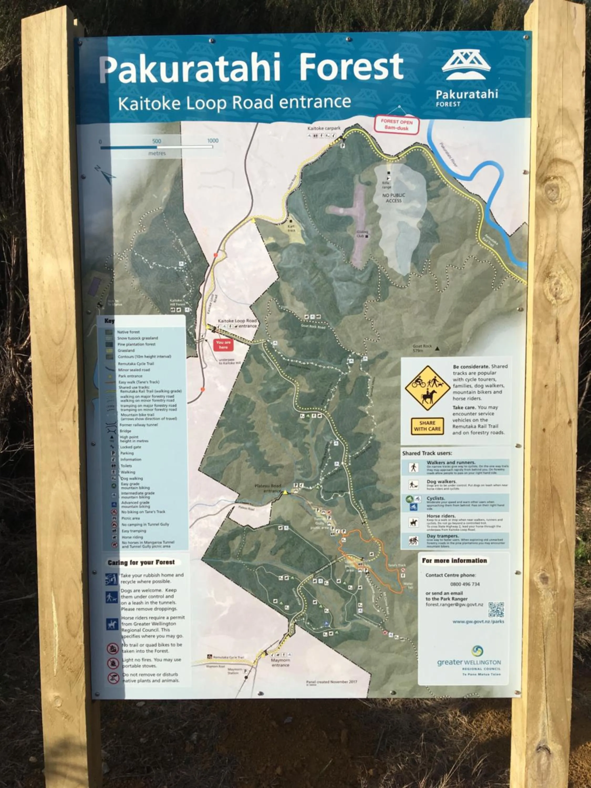 Billiard in Incline Cottage