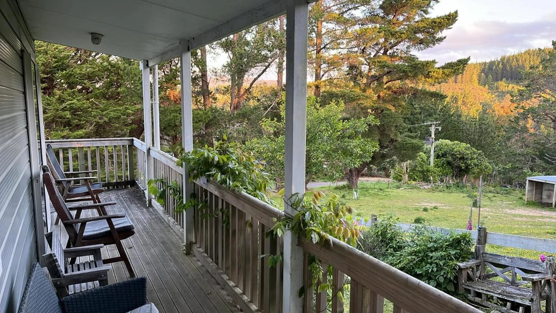 Garden in Incline Cottage