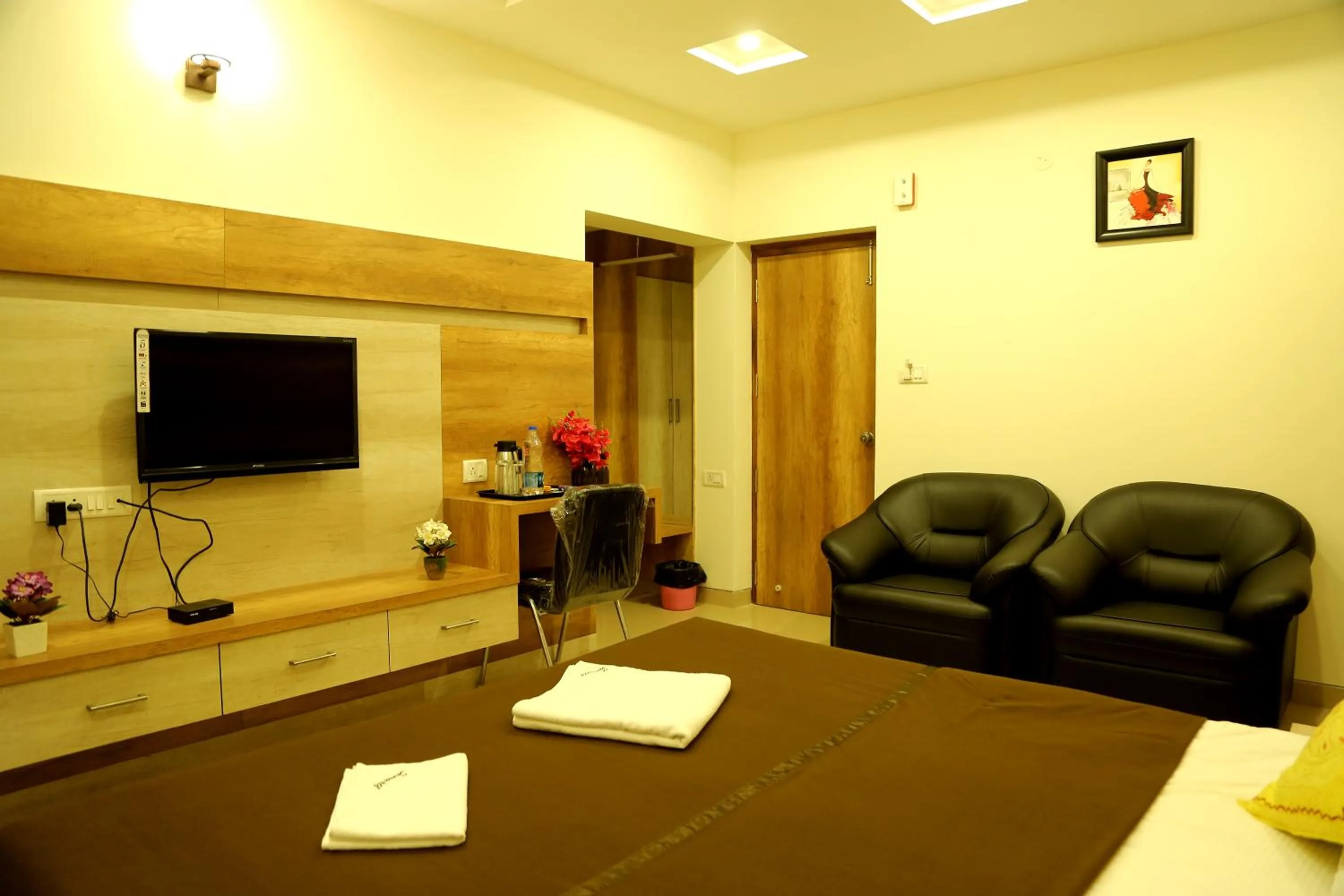 TV and multimedia in Samarth Residency