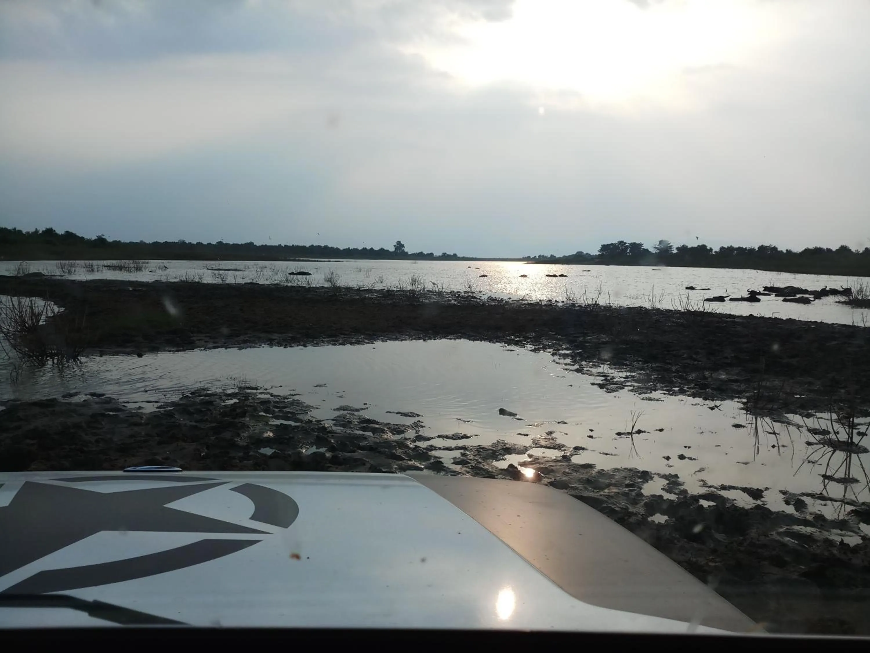 Other in Cassia Udawalawe