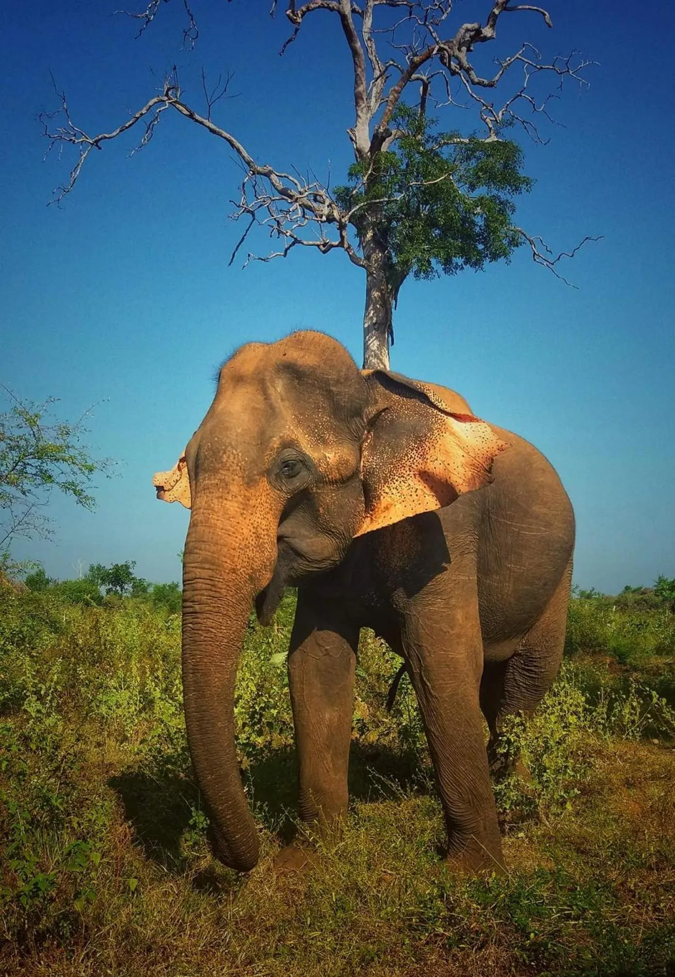 Nearby landmark in Cassia Udawalawe